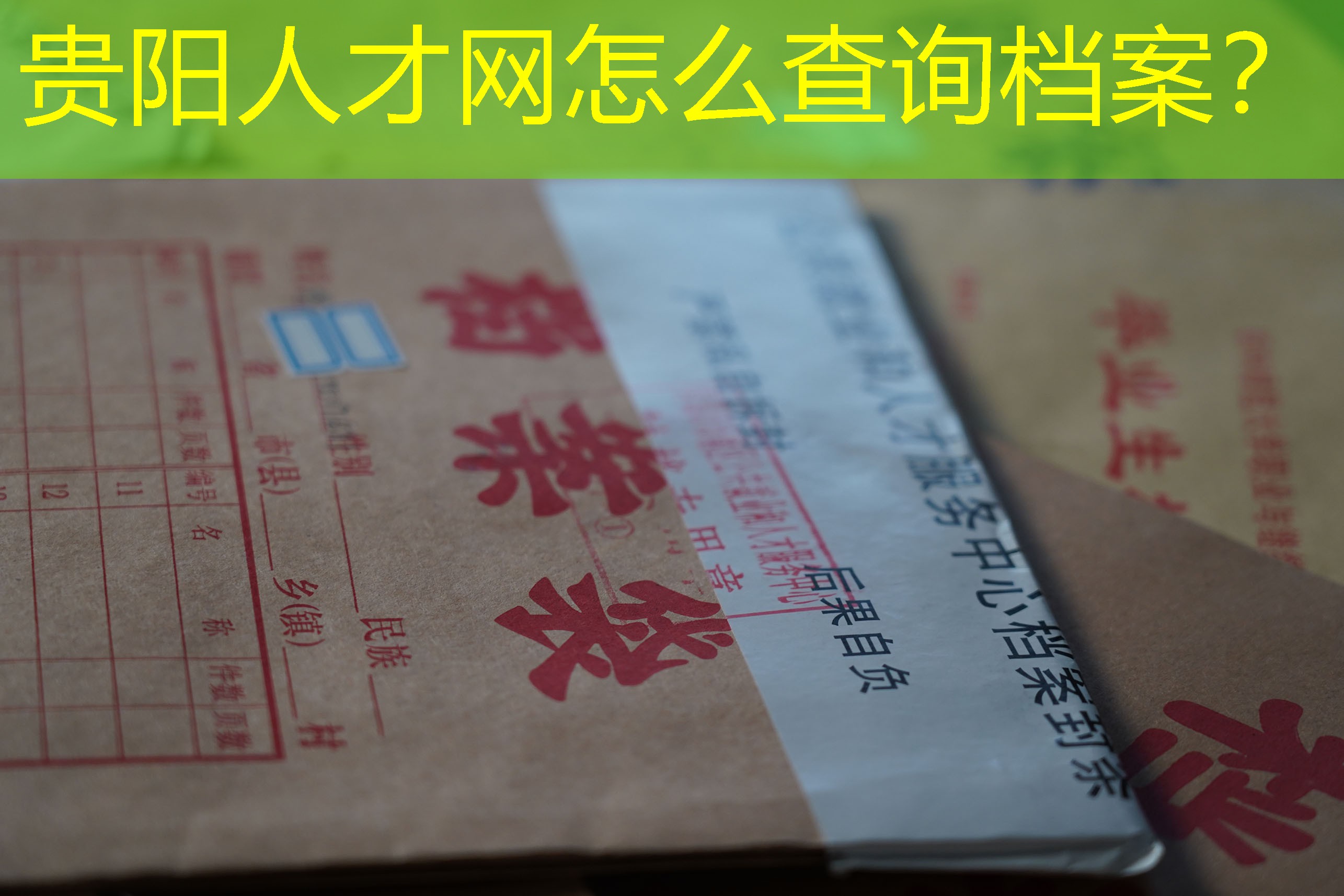 档案查询
