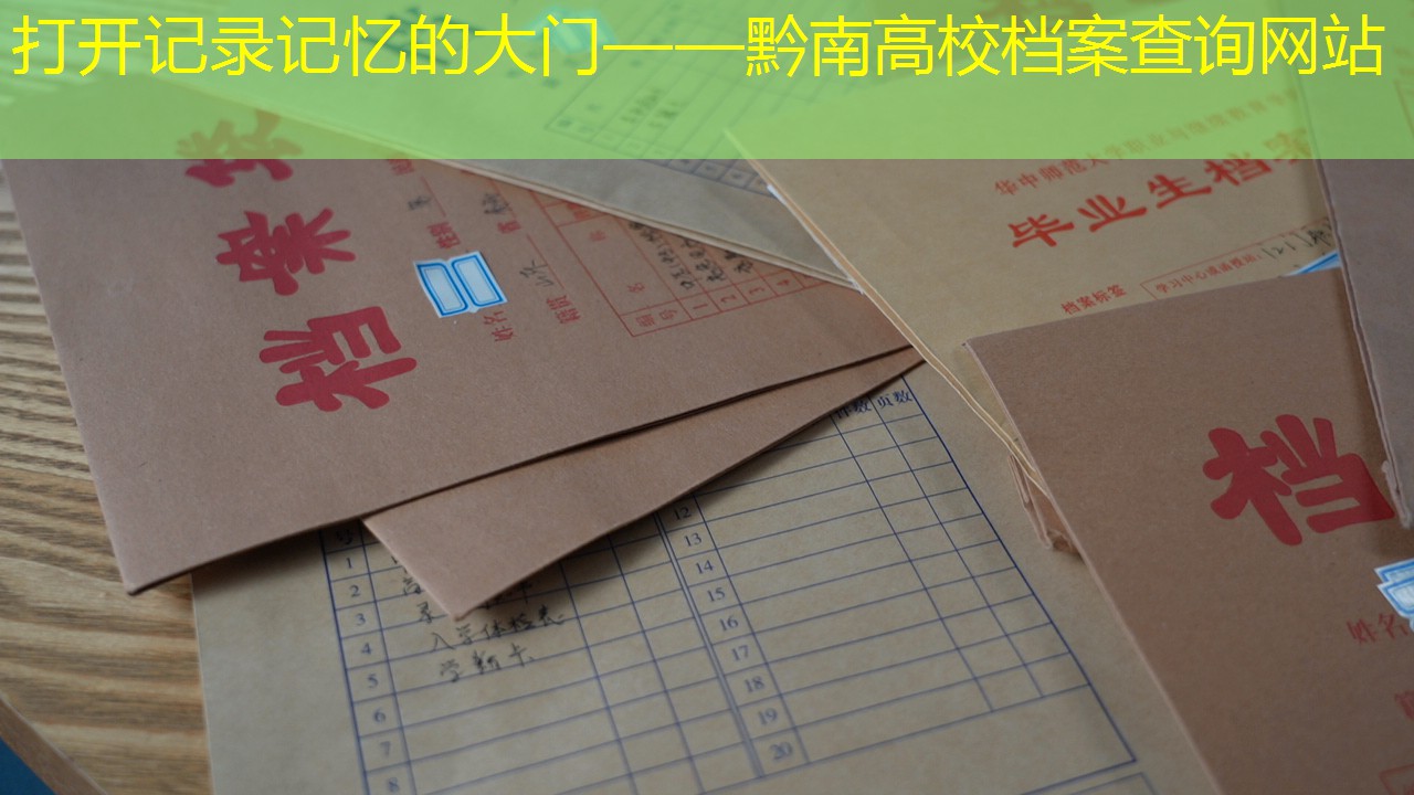 档案查询