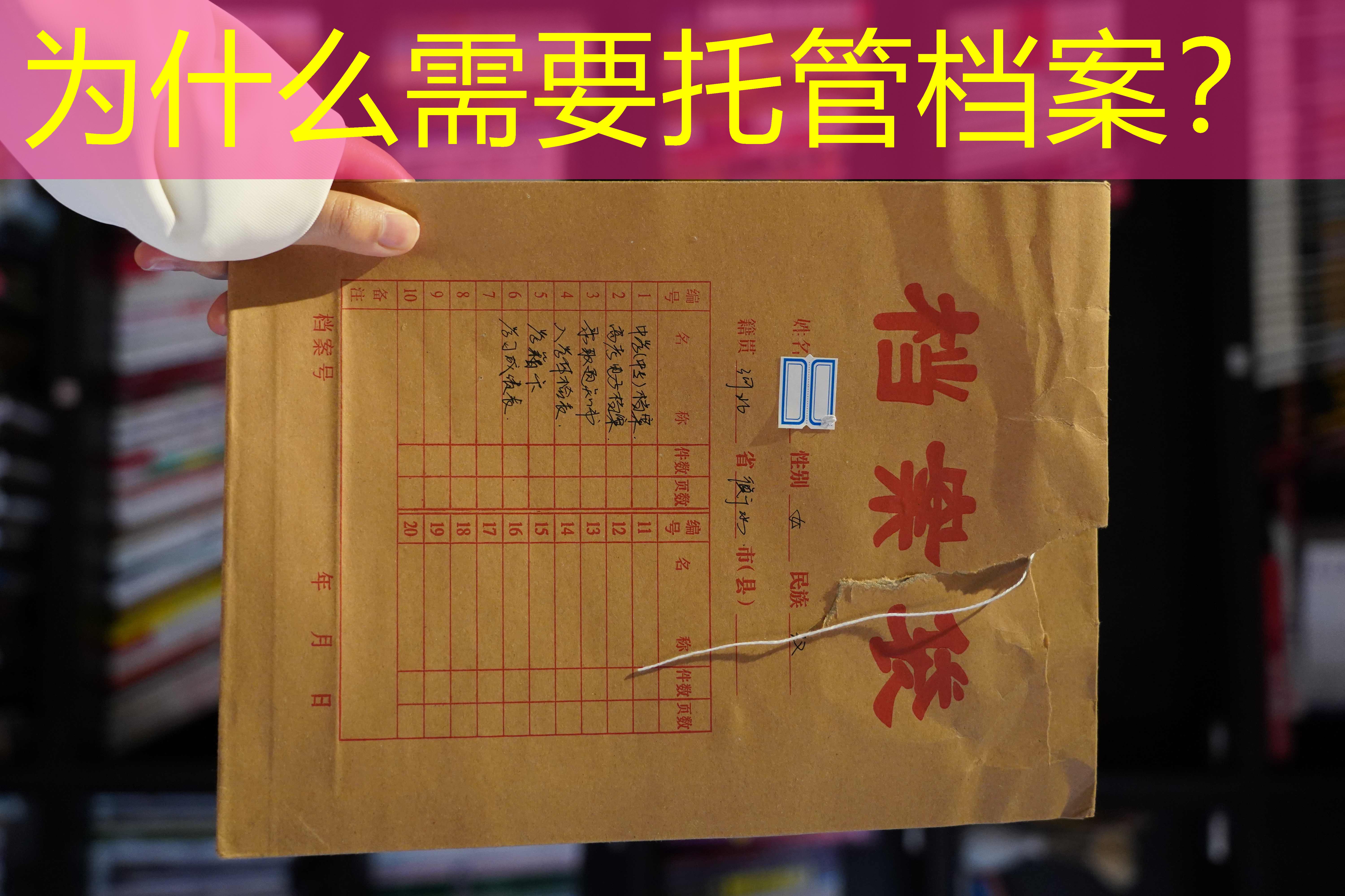 档案查询