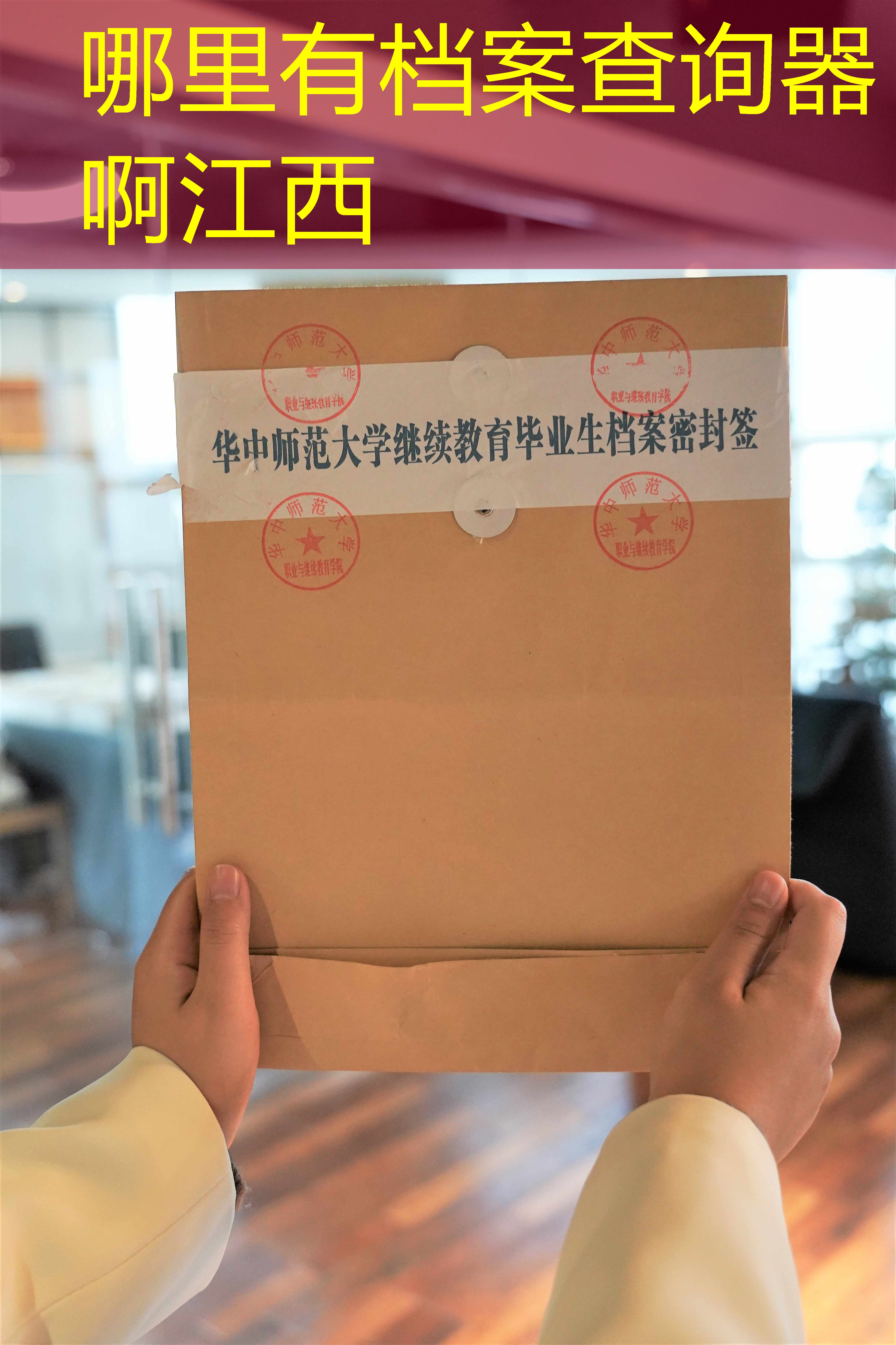 档案查询