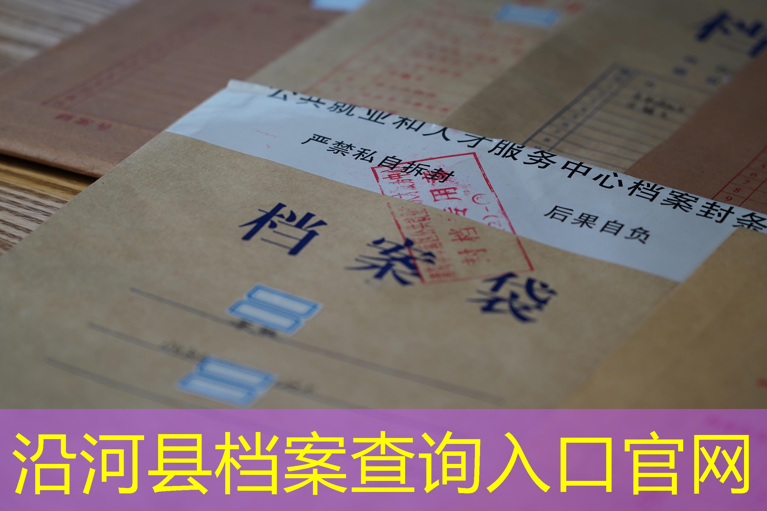 档案查询