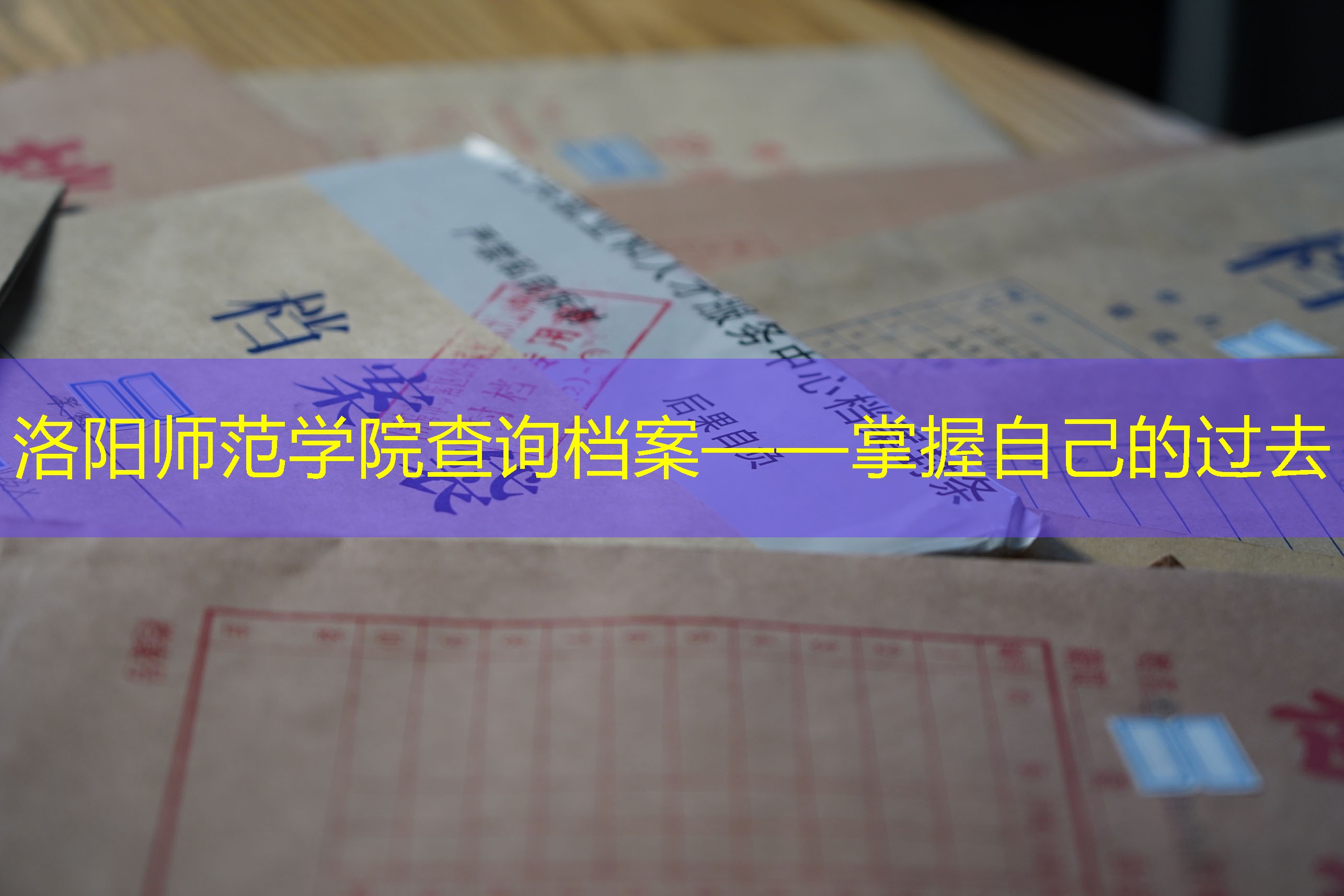 档案查询