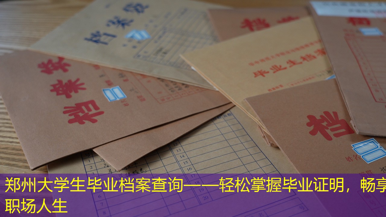 档案查询