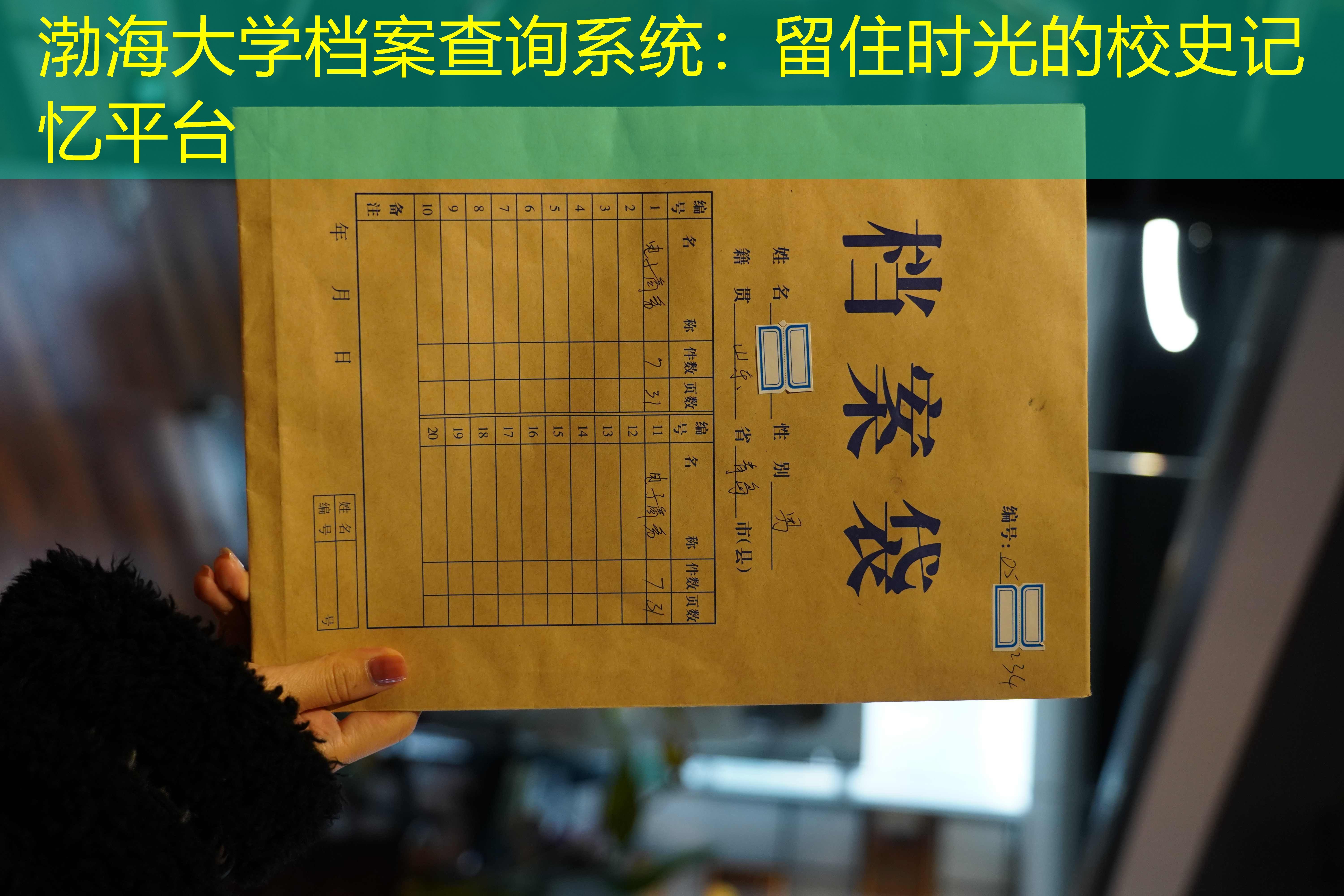 档案查询
