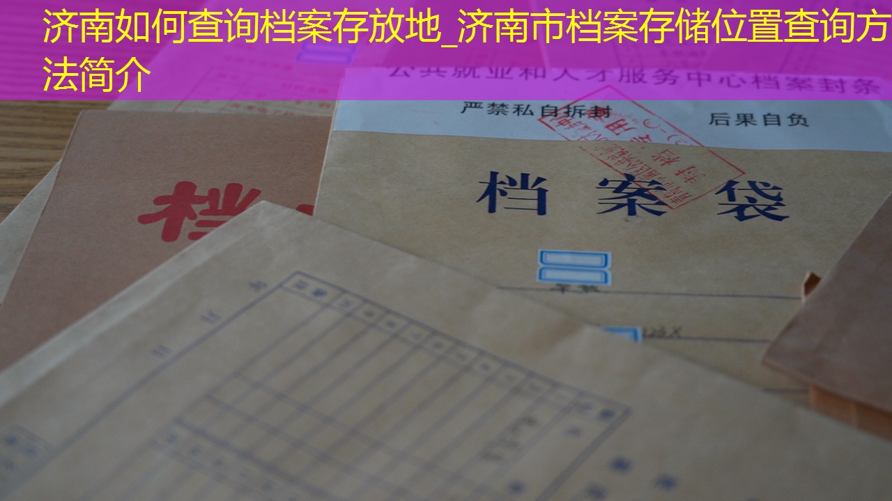 档案查询