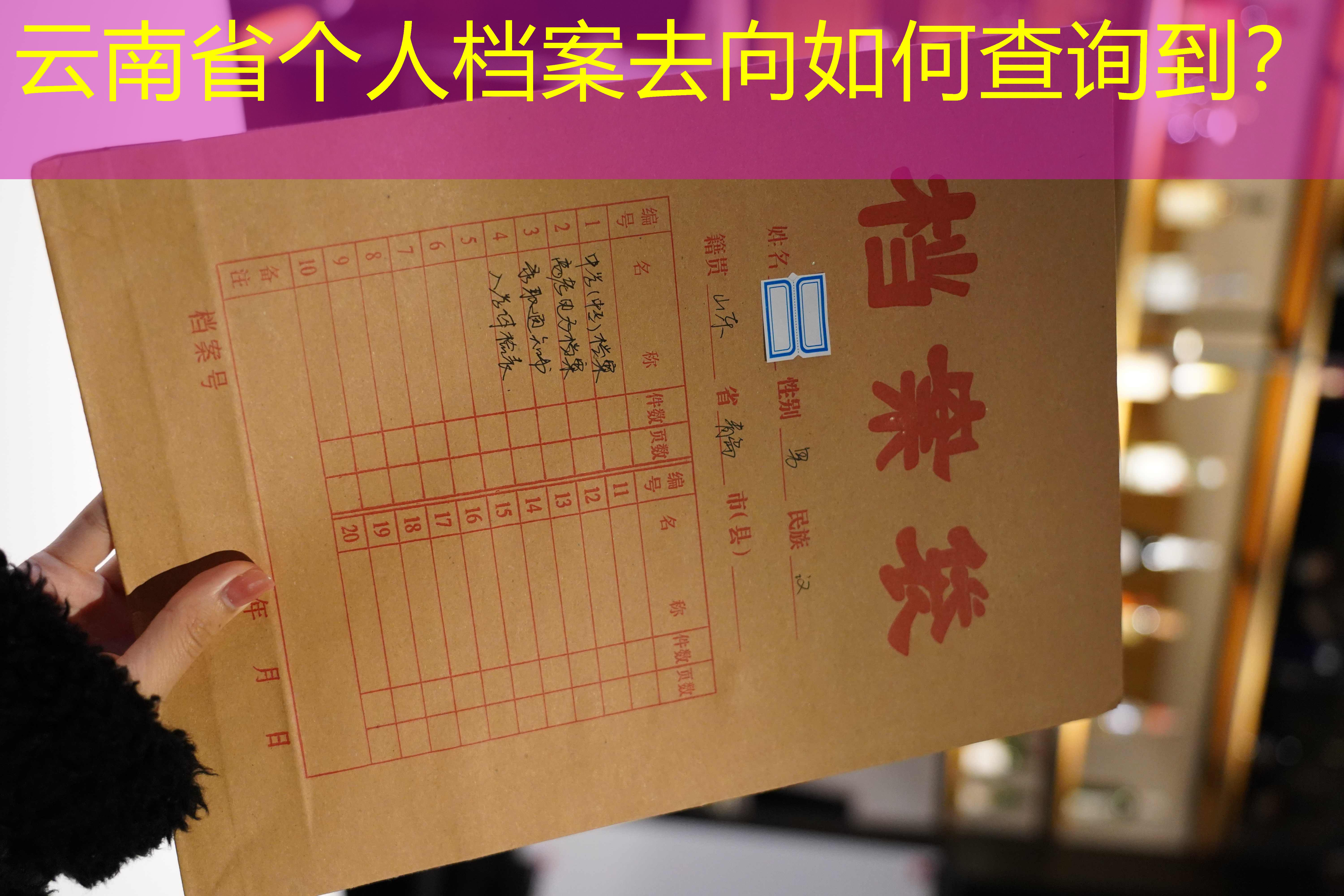 档案查询