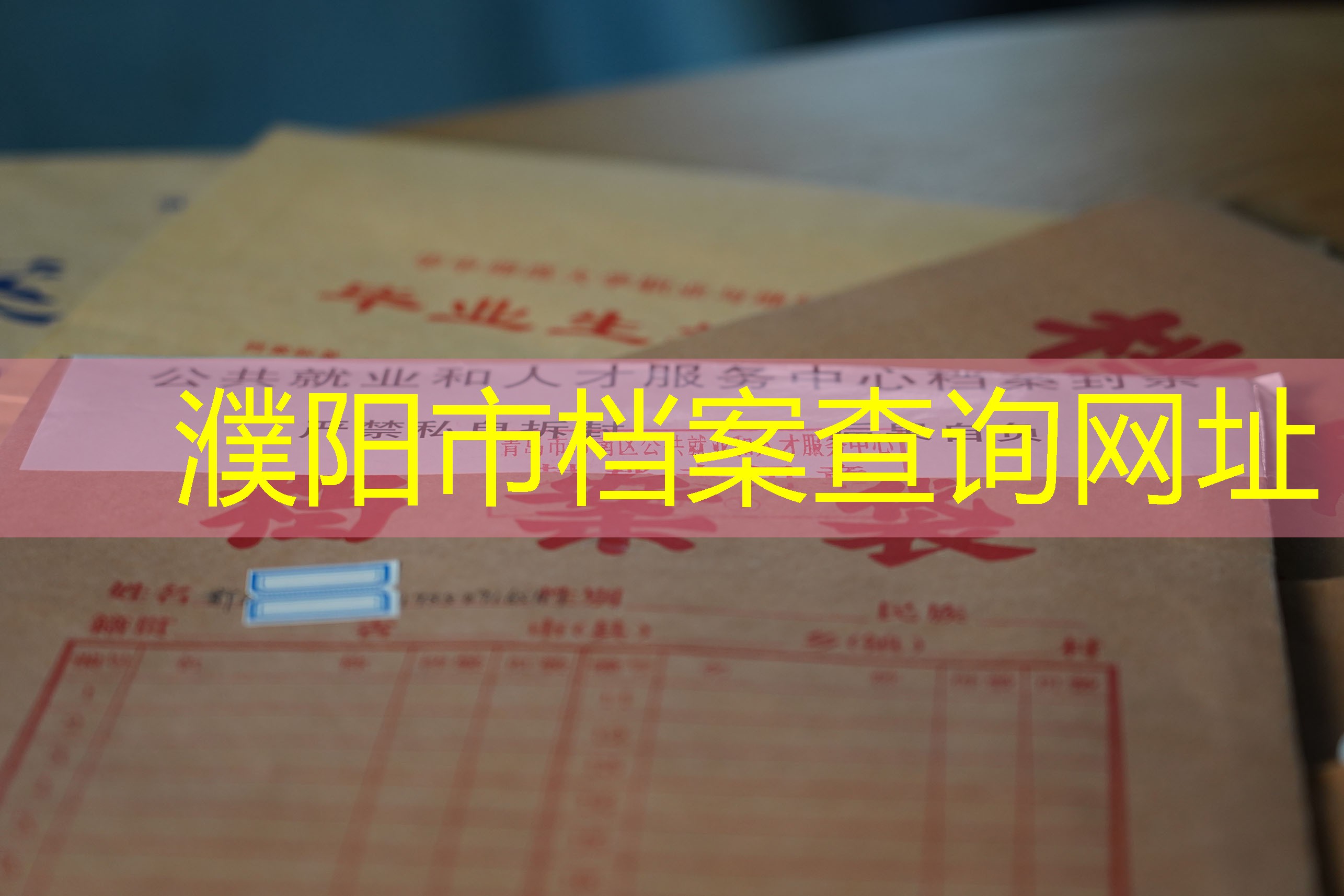档案查询