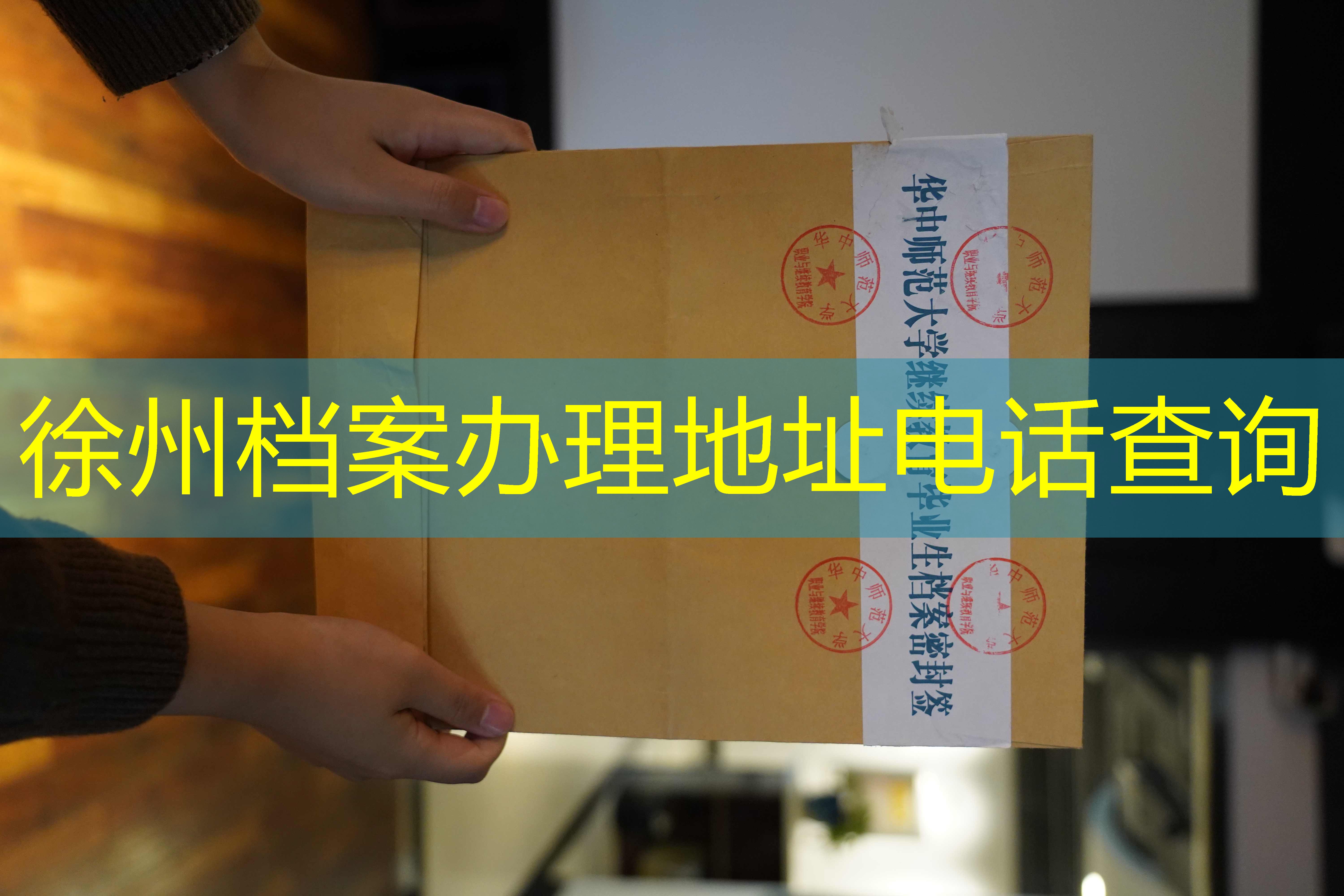 档案查询