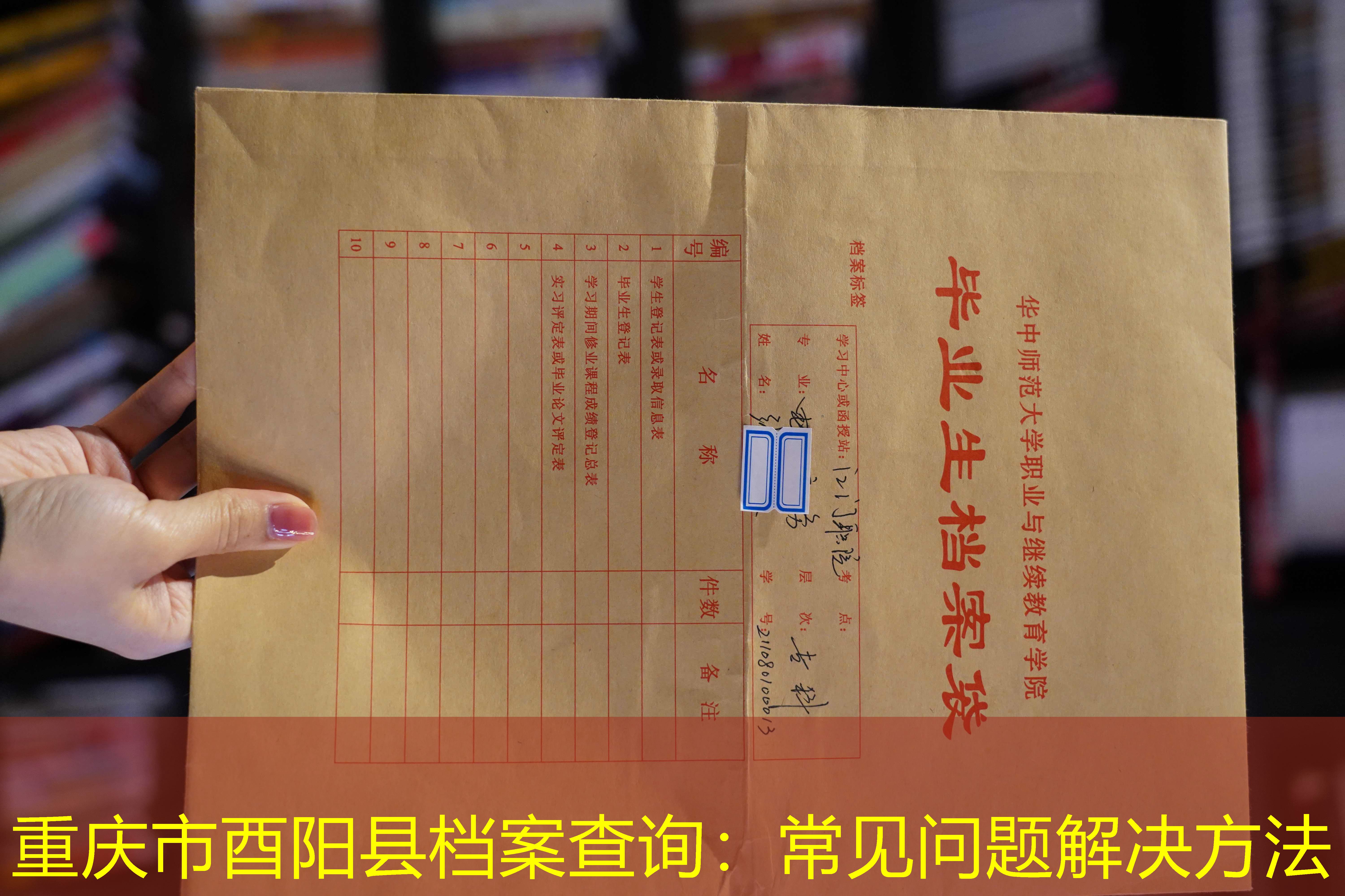 档案查询