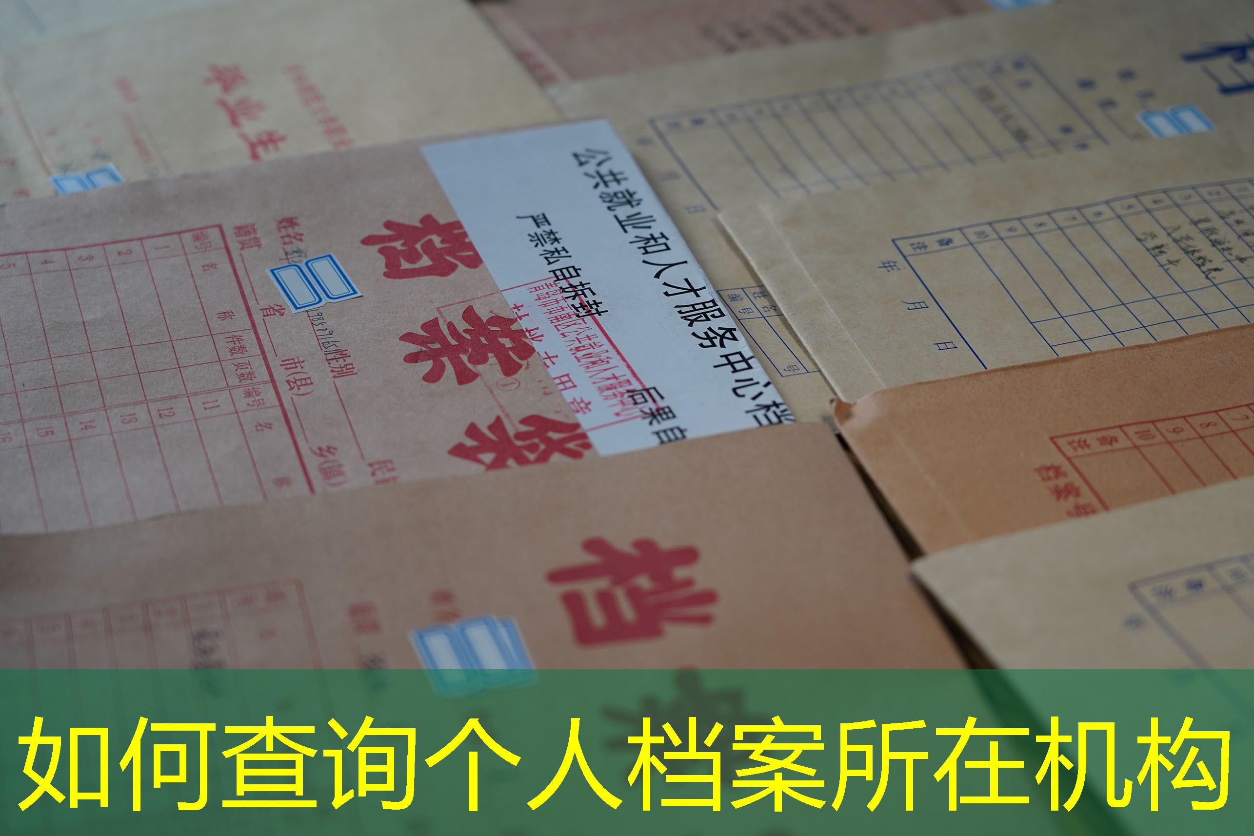 档案查询