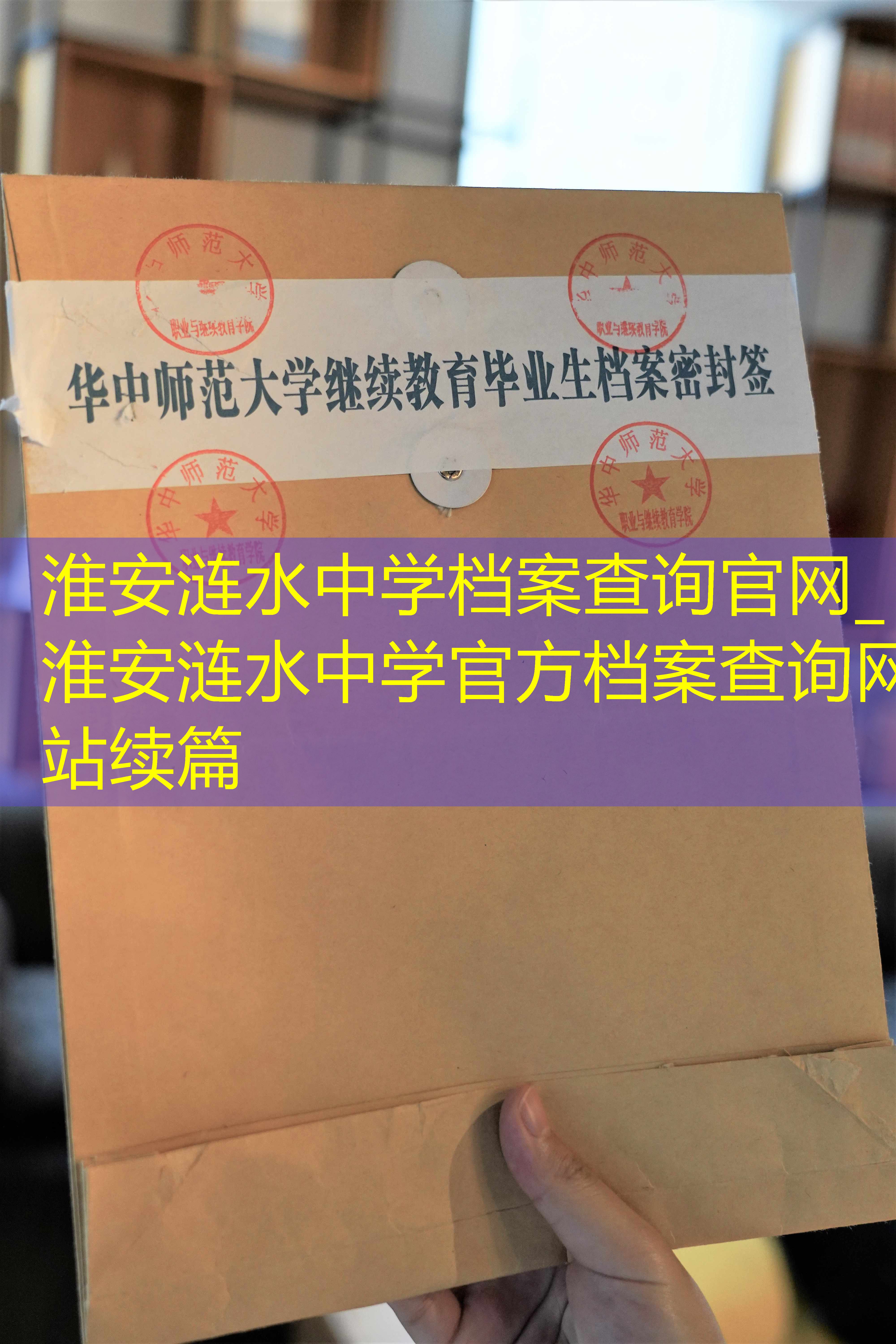 档案查询
