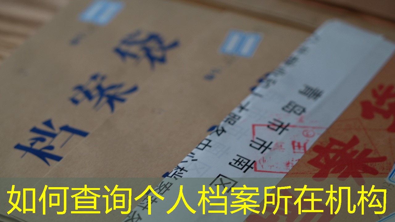 档案查询