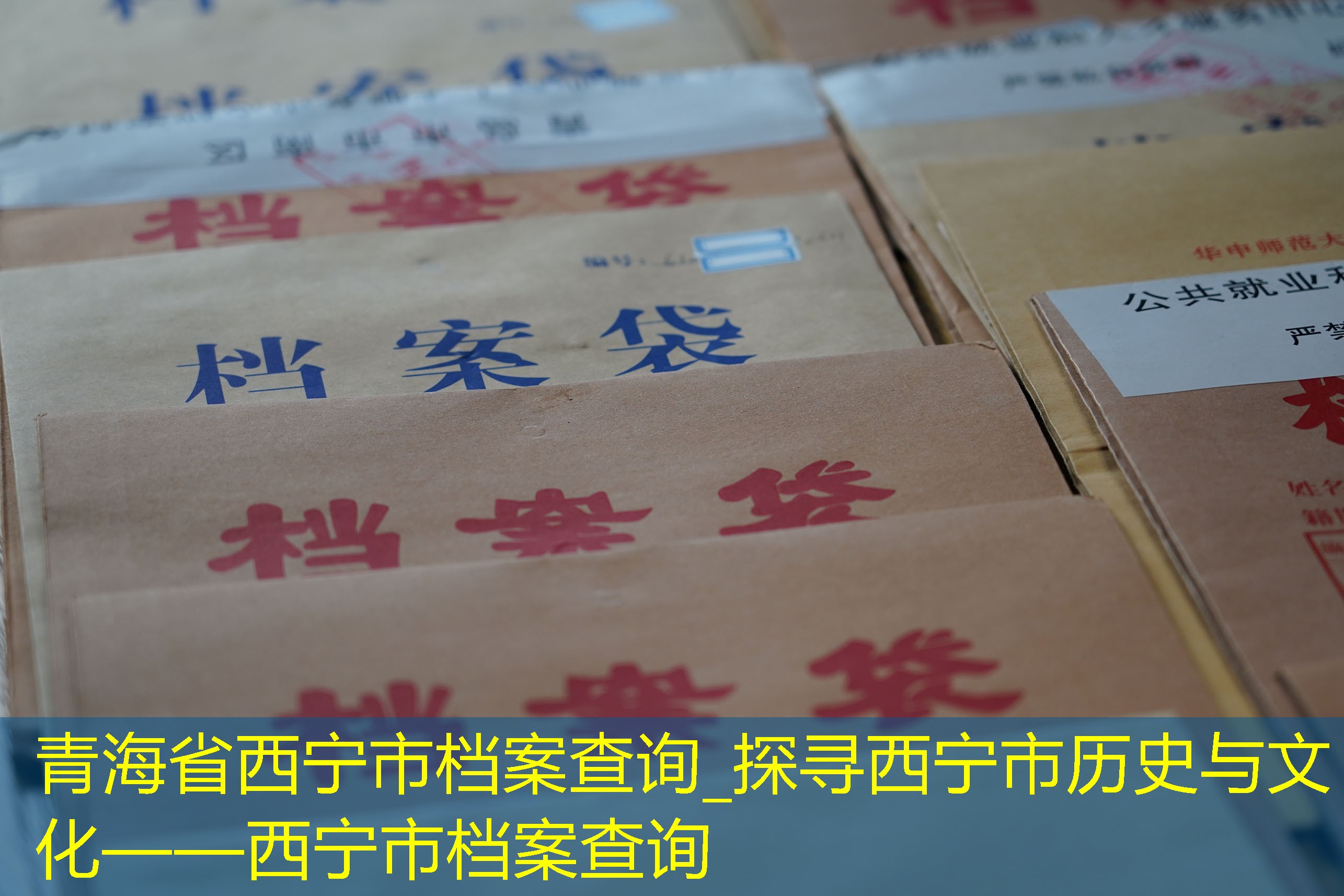 档案查询
