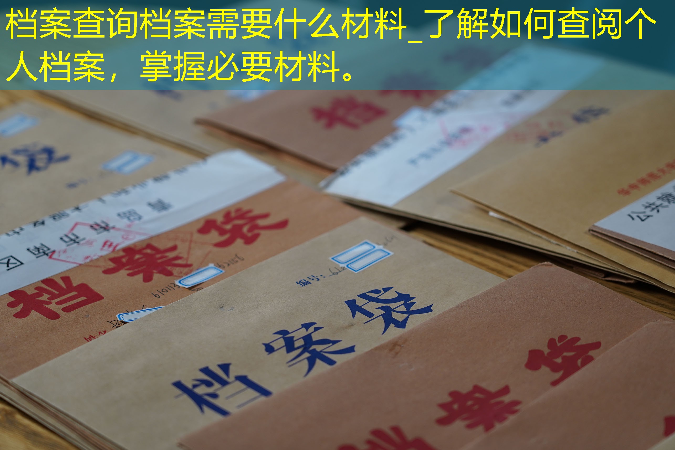 档案查询