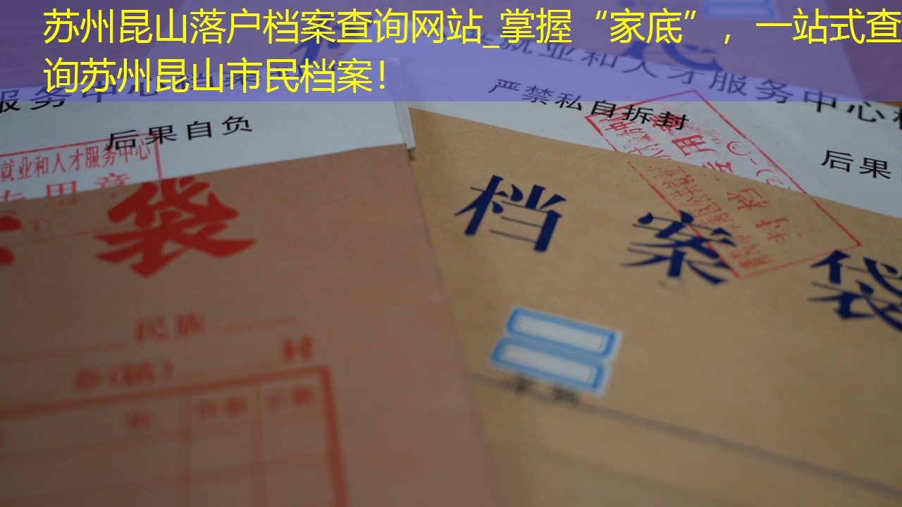 档案查询