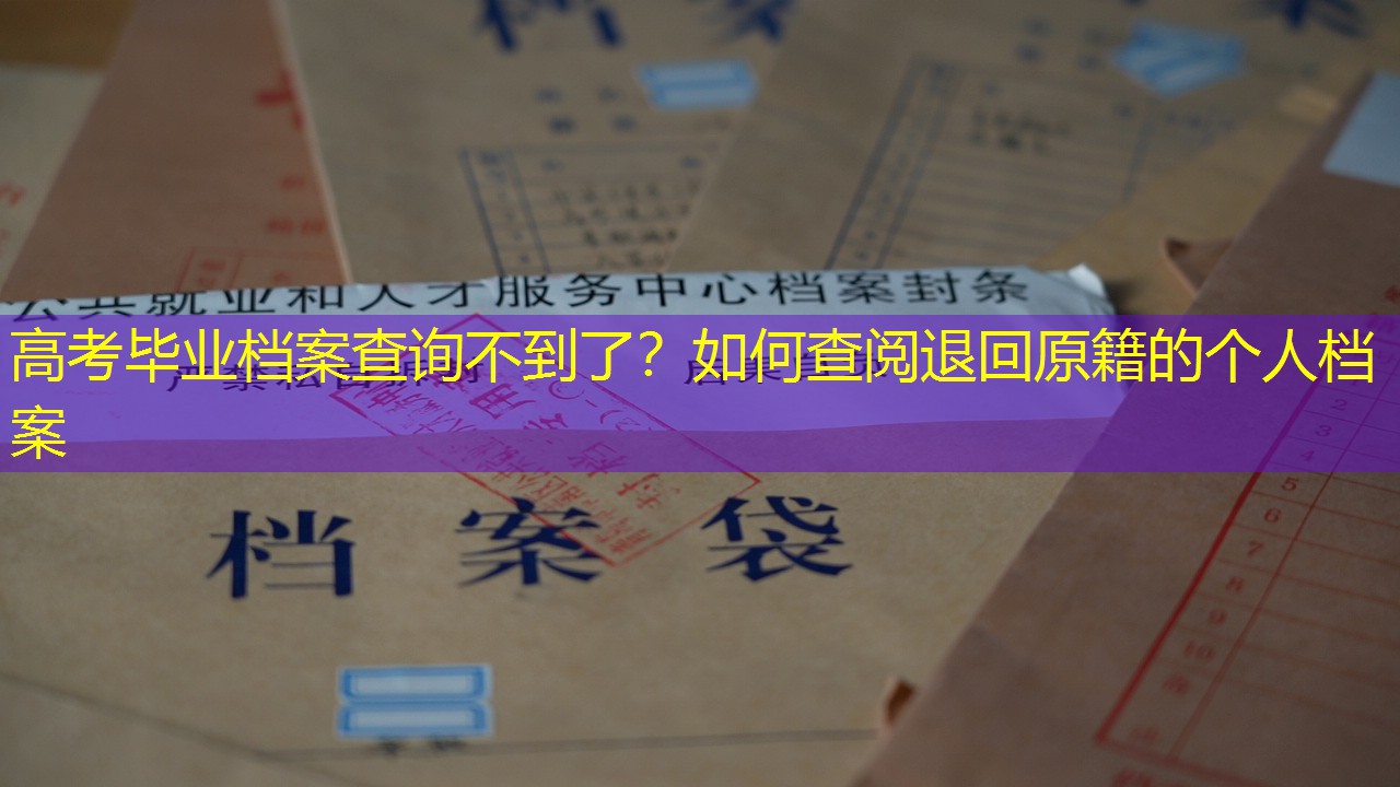档案查询