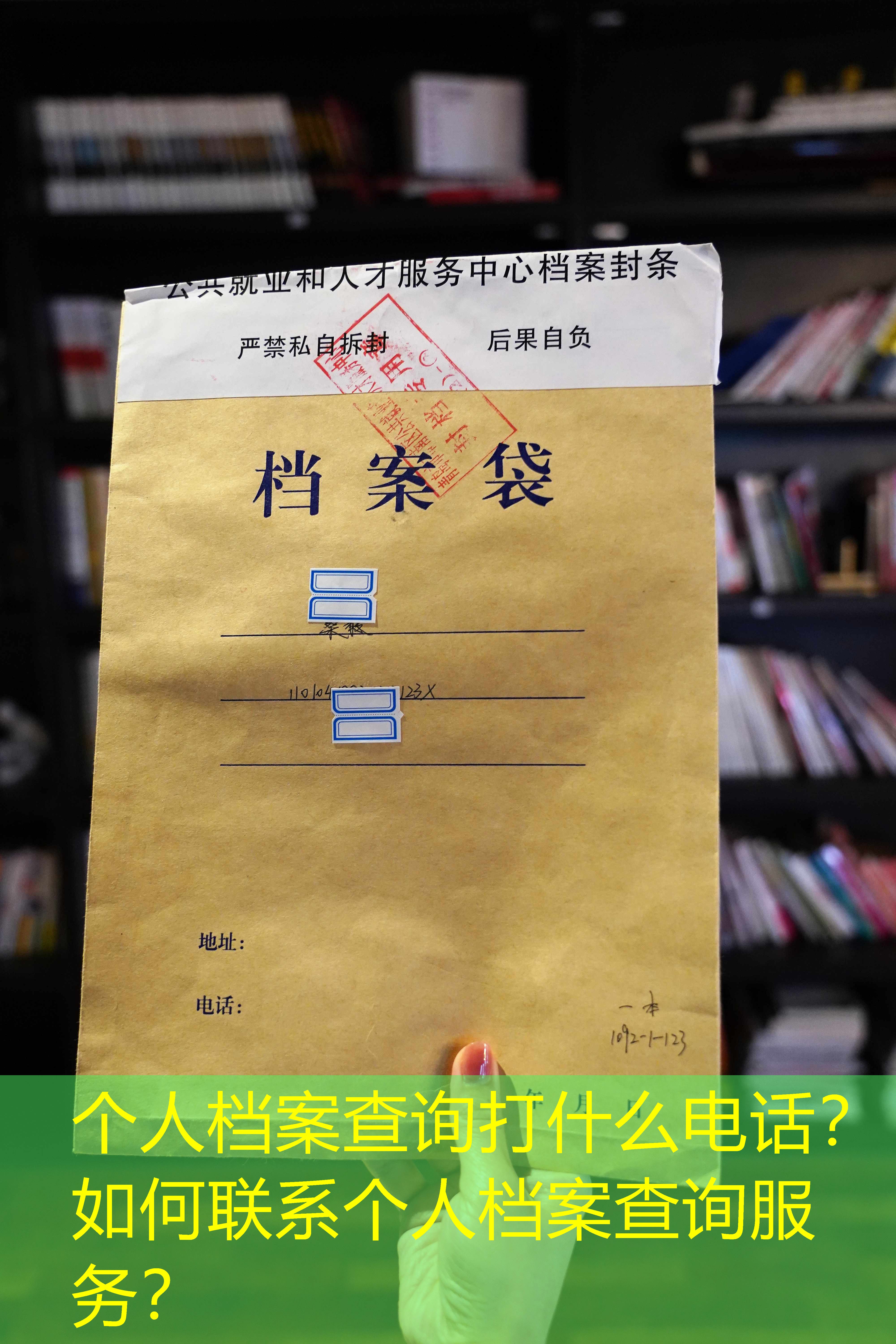 档案查询