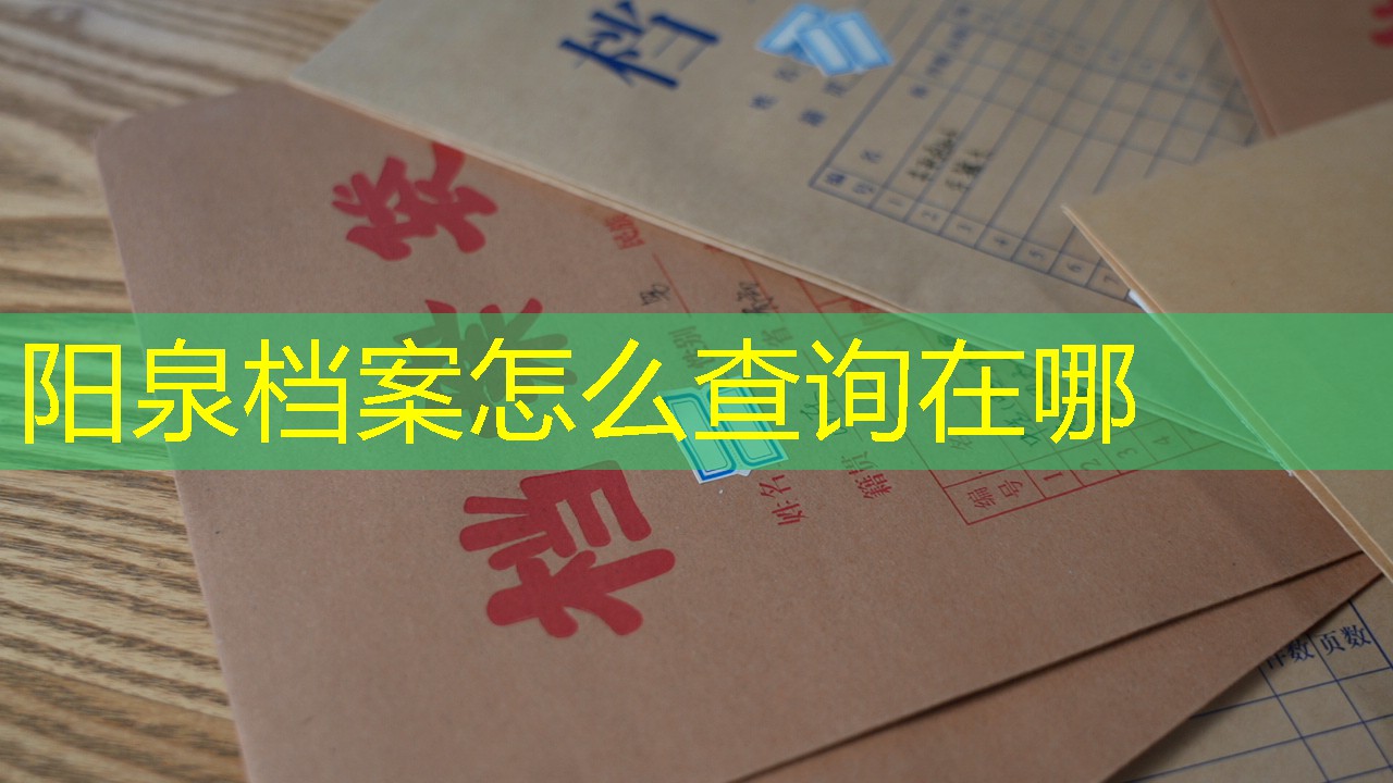 档案查询