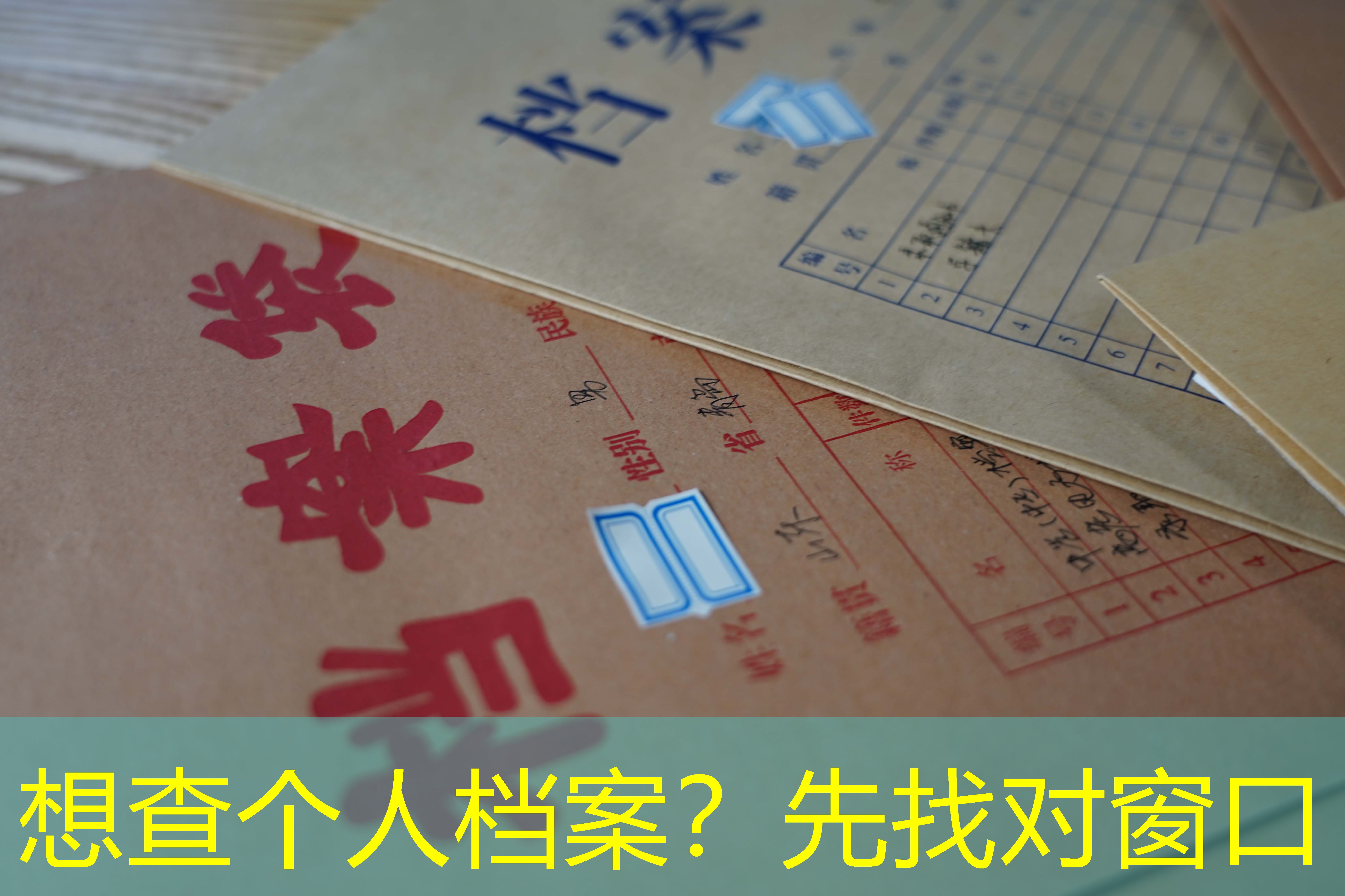 档案查询