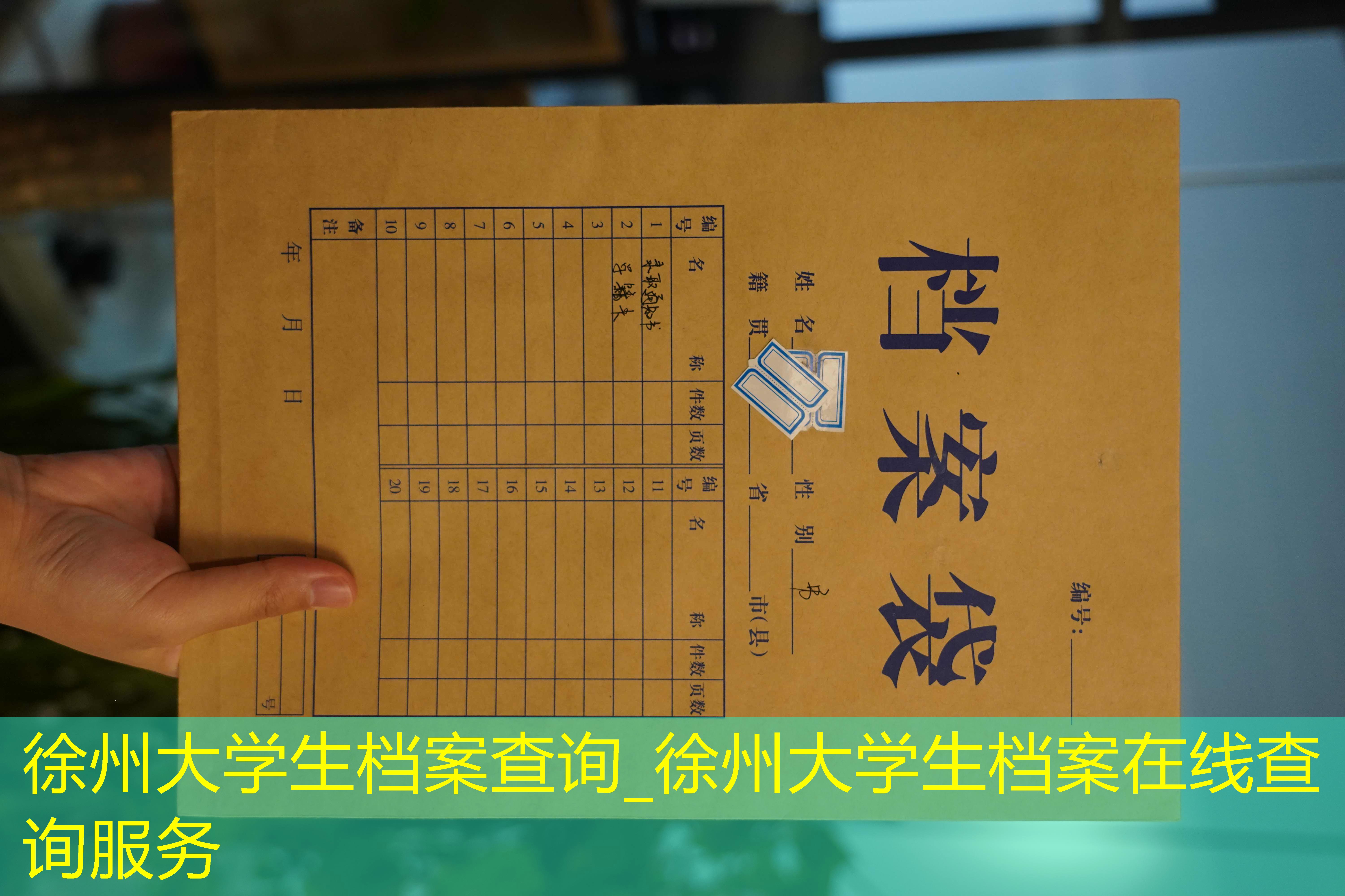 档案查询