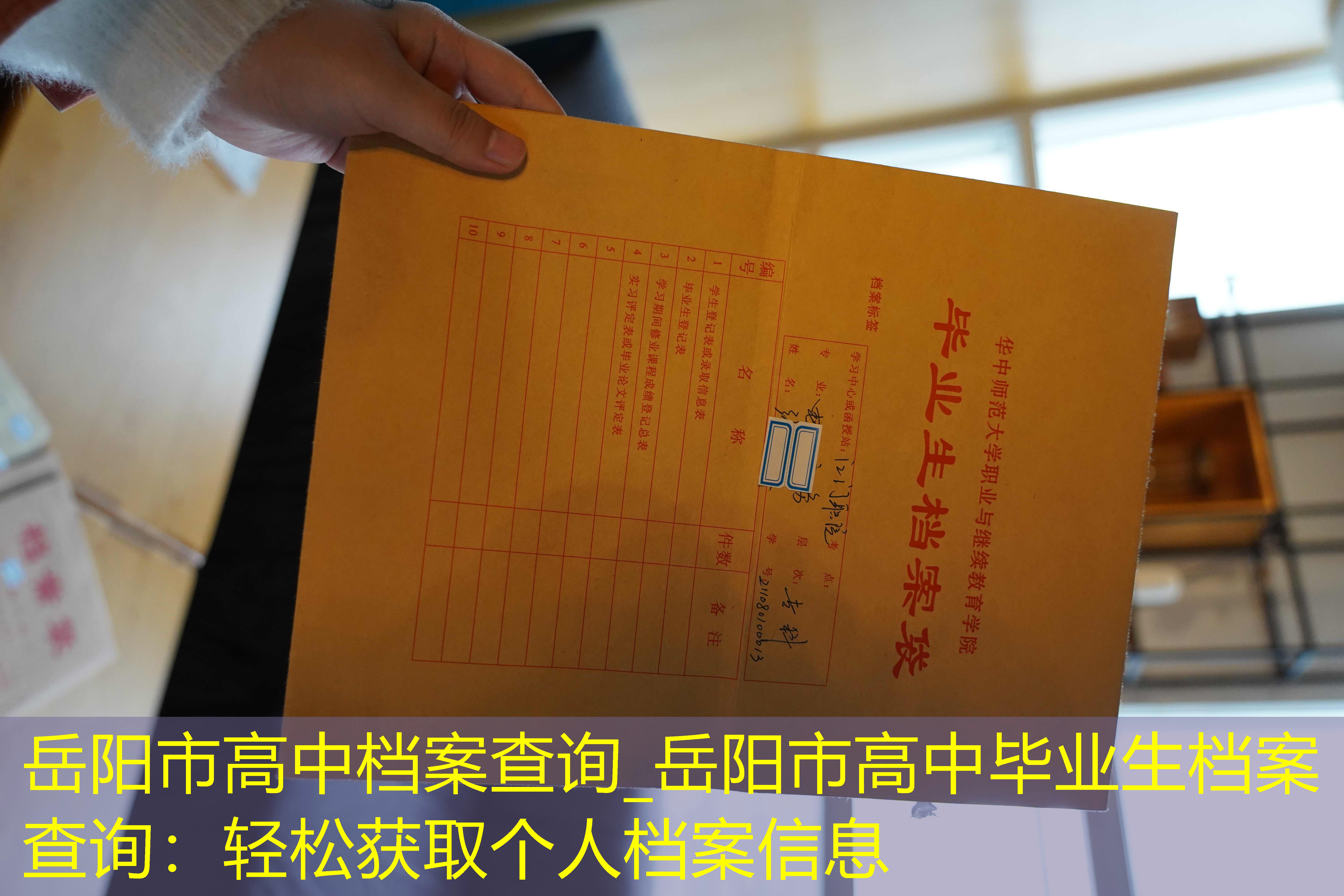 档案查询