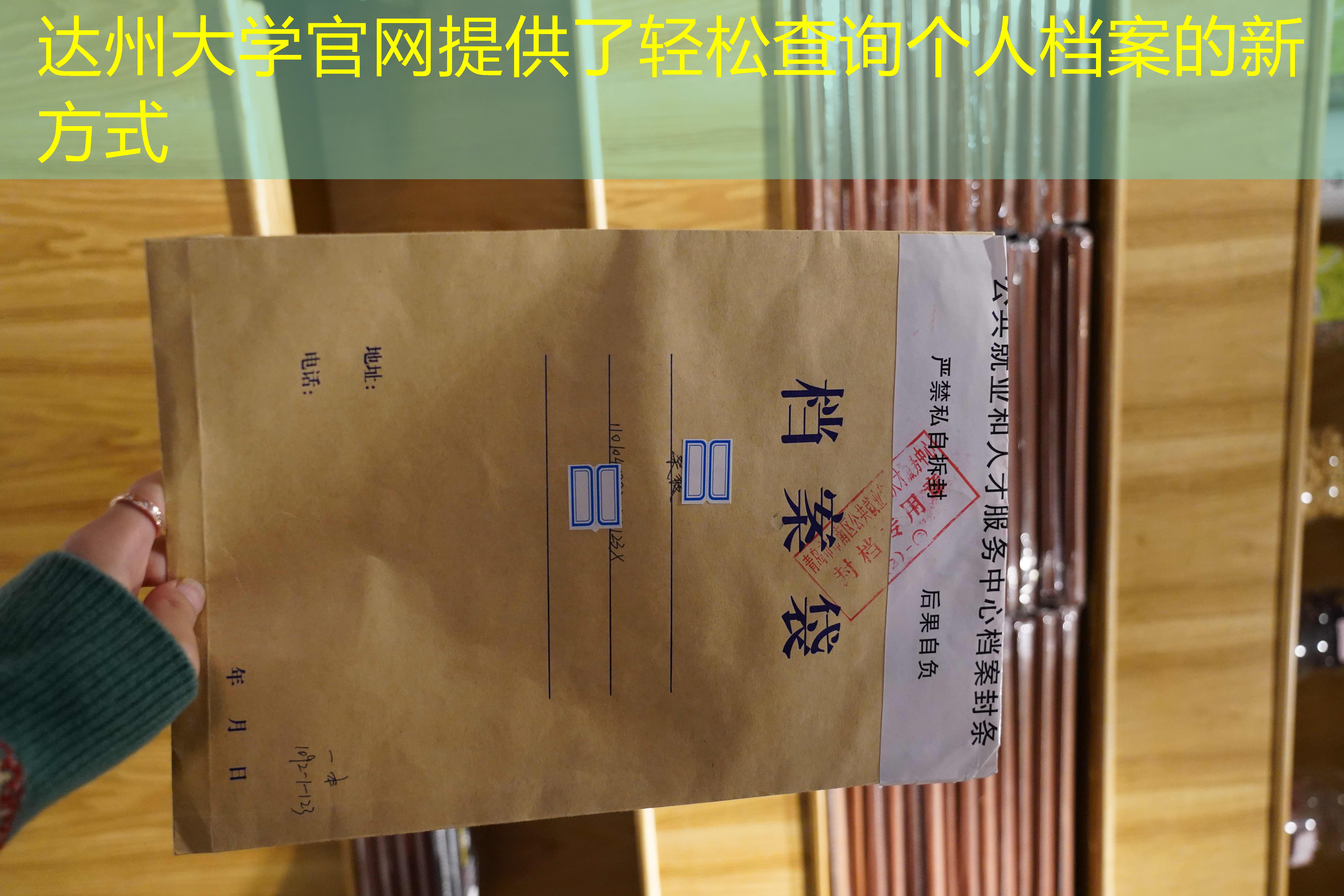 档案查询