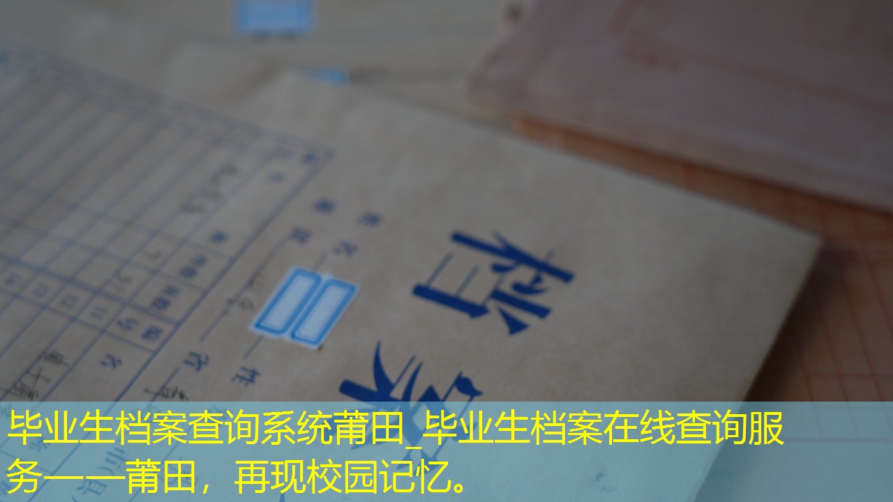 档案查询