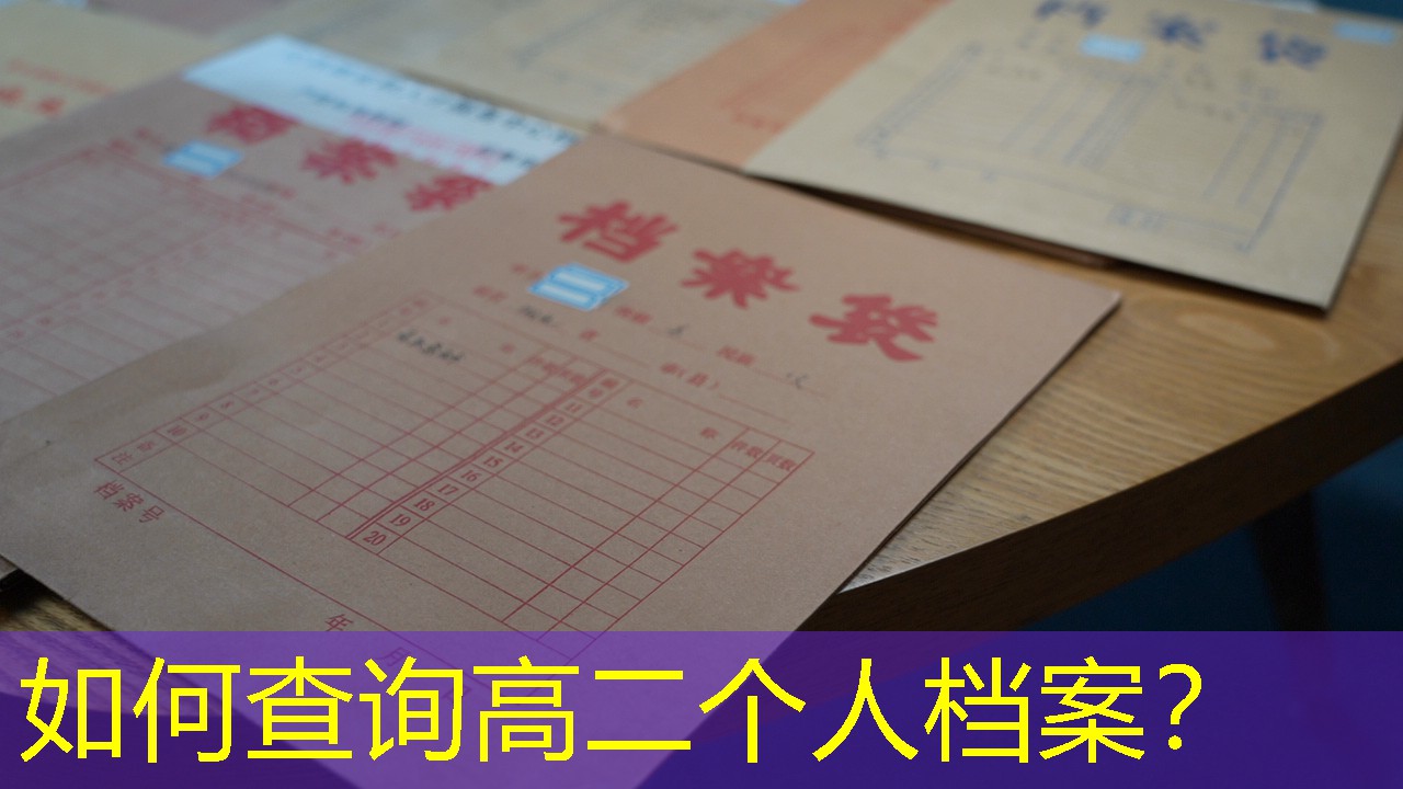 档案查询
