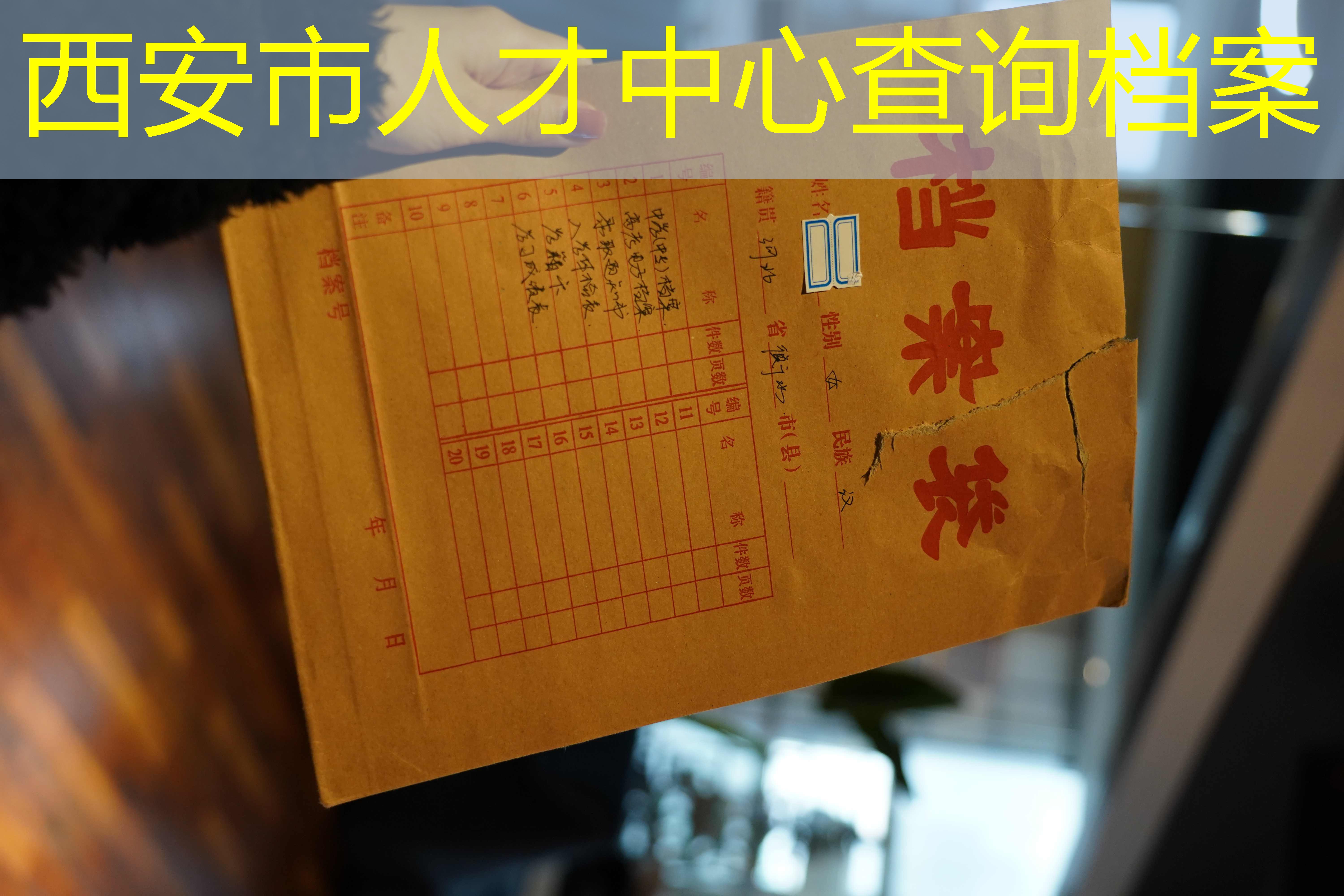 档案查询