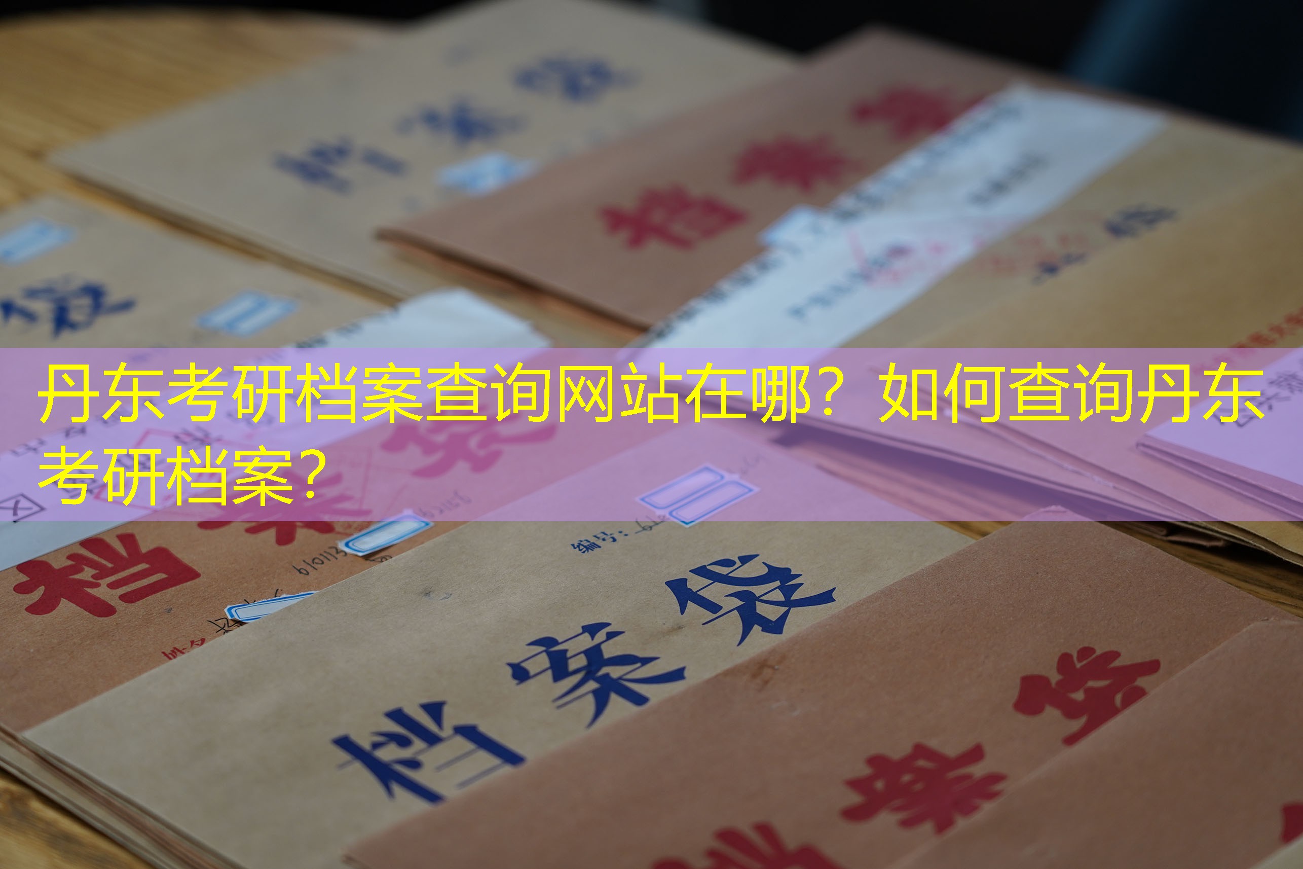 档案查询