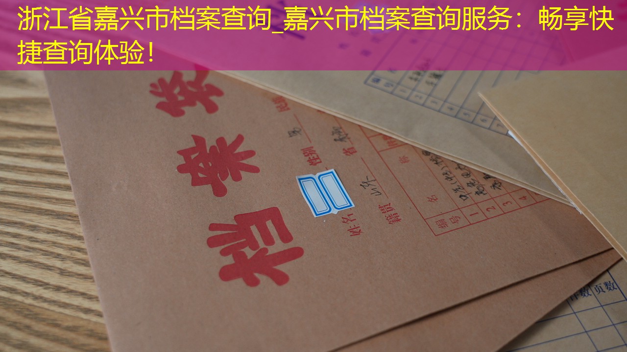 档案查询