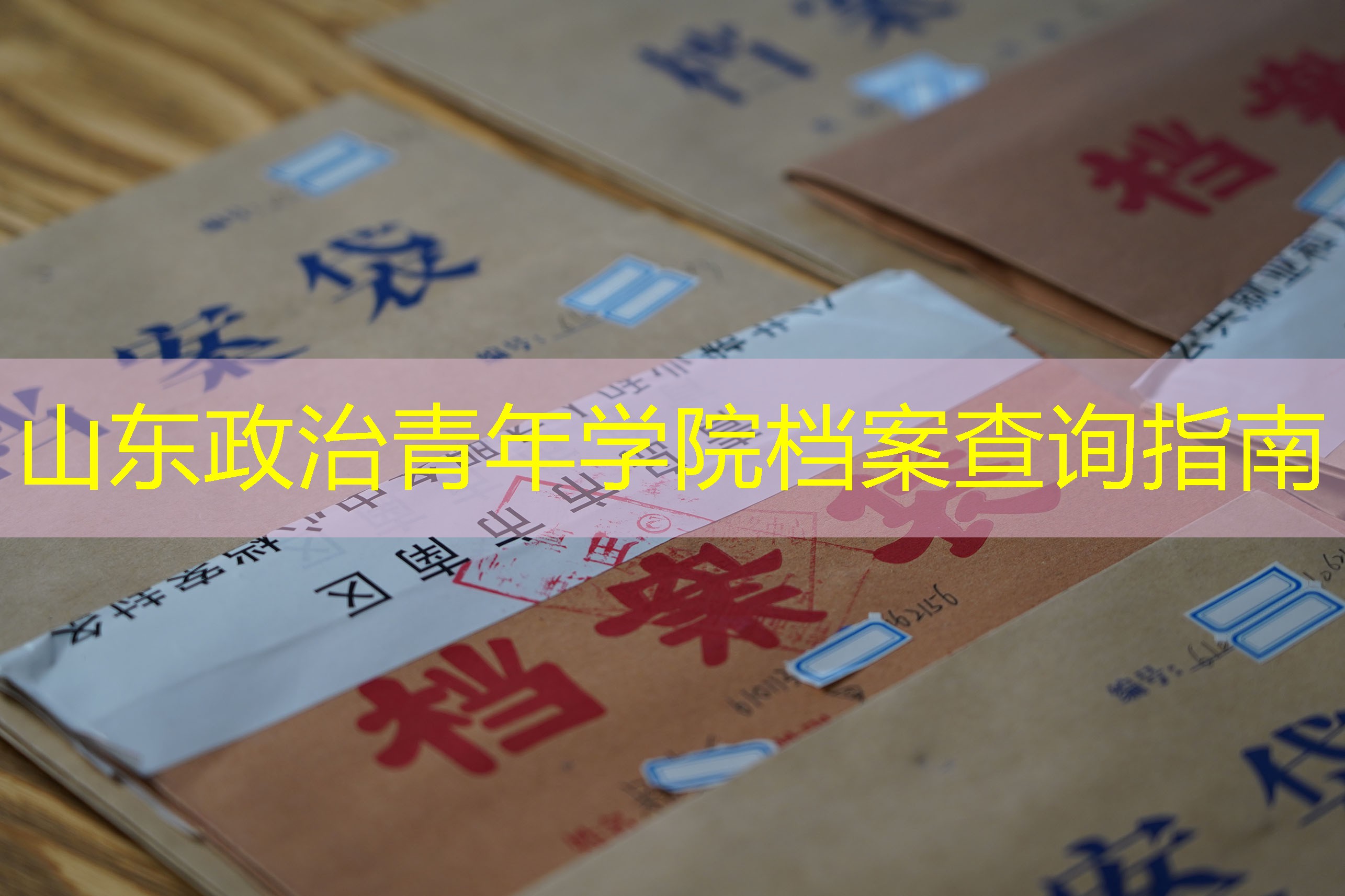 档案查询