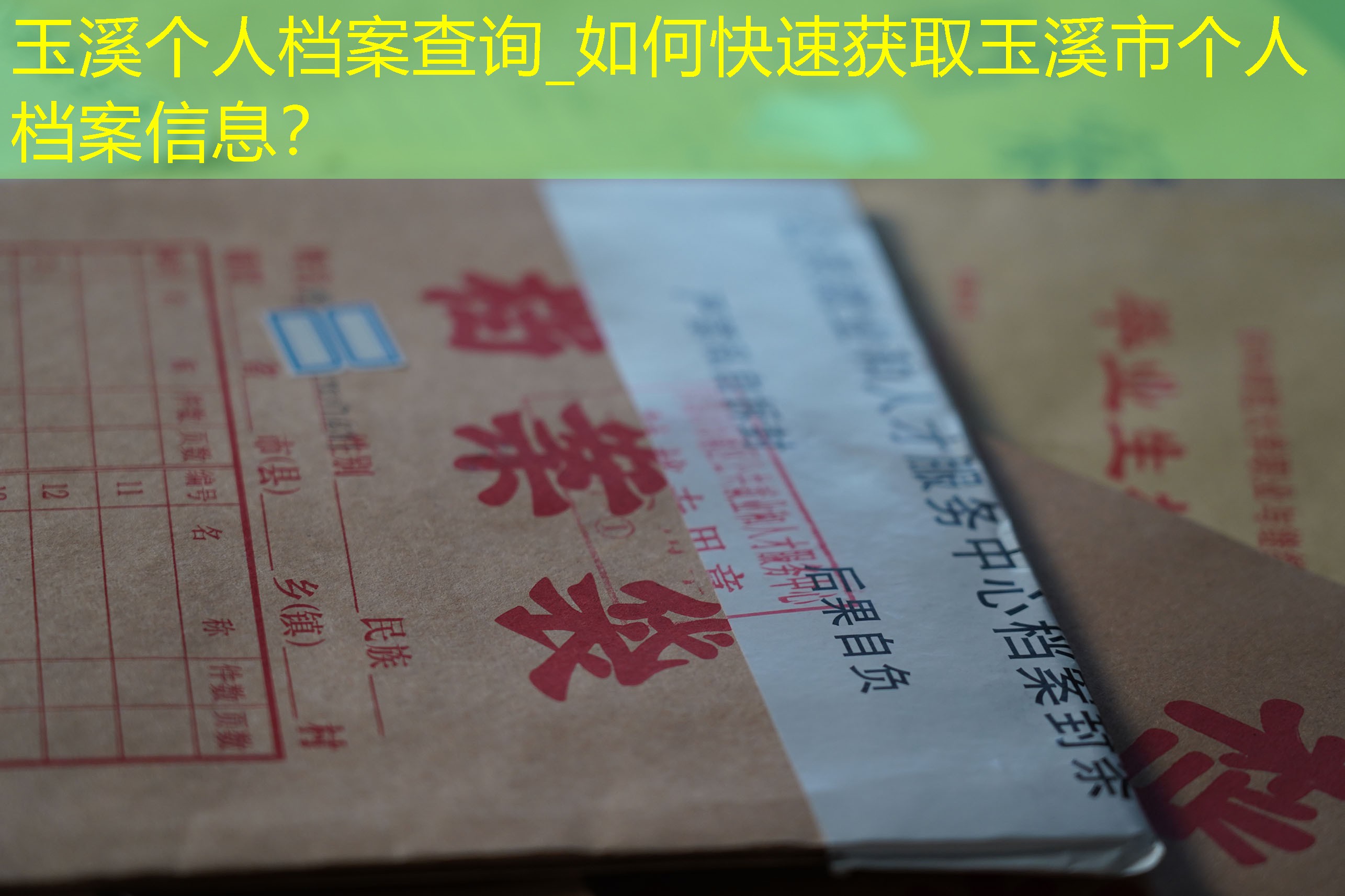 档案查询