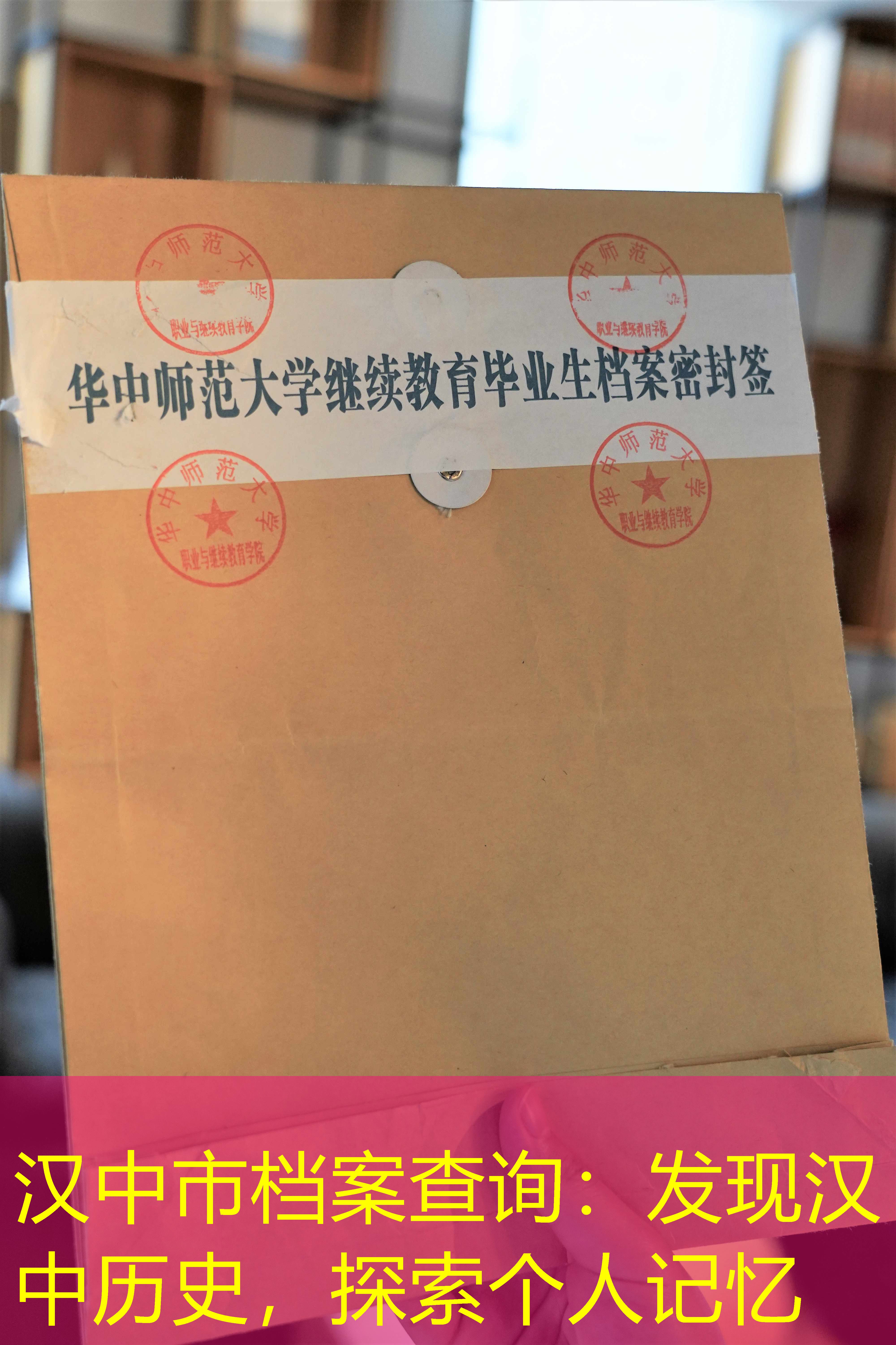 档案查询
