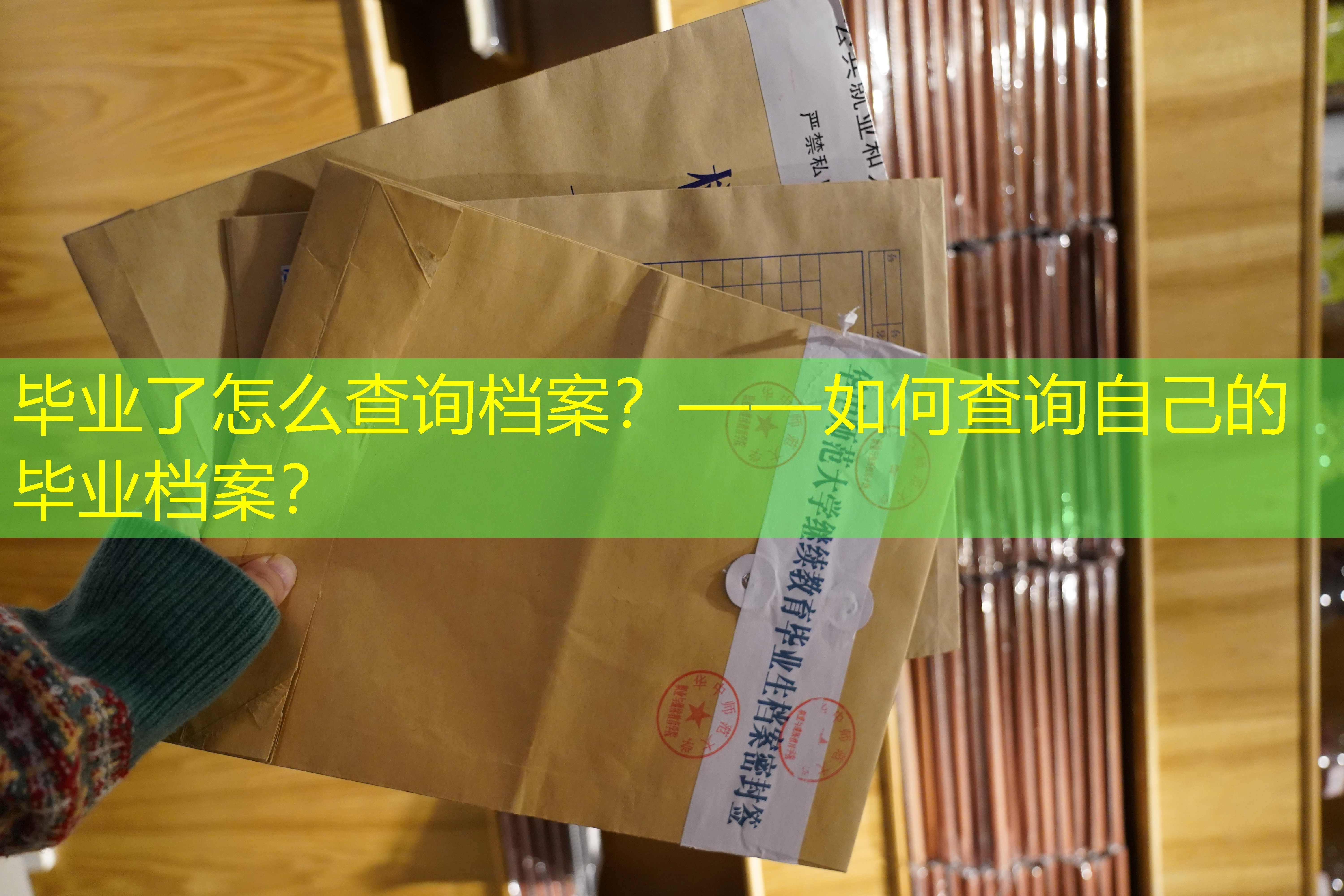 档案查询