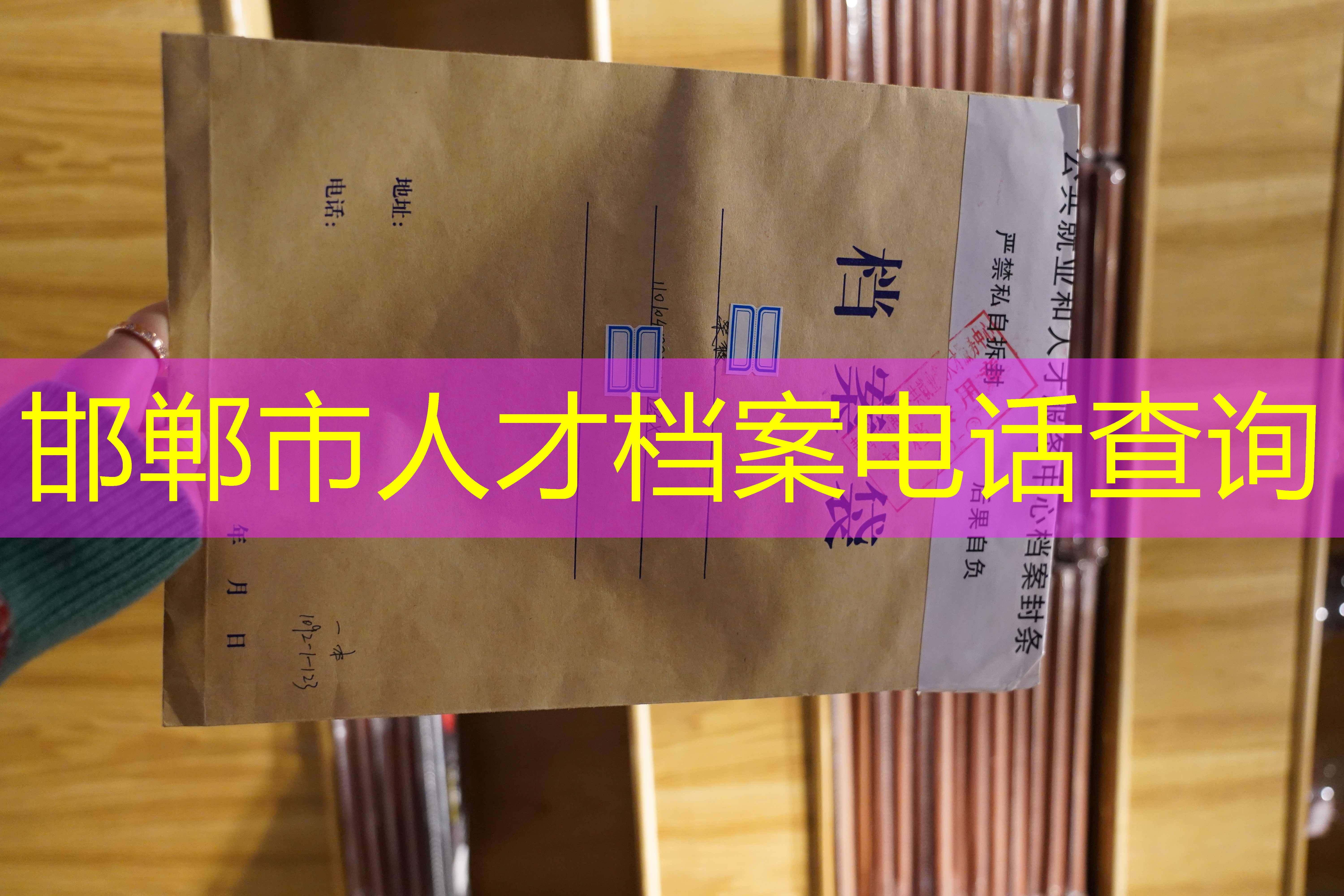 档案查询