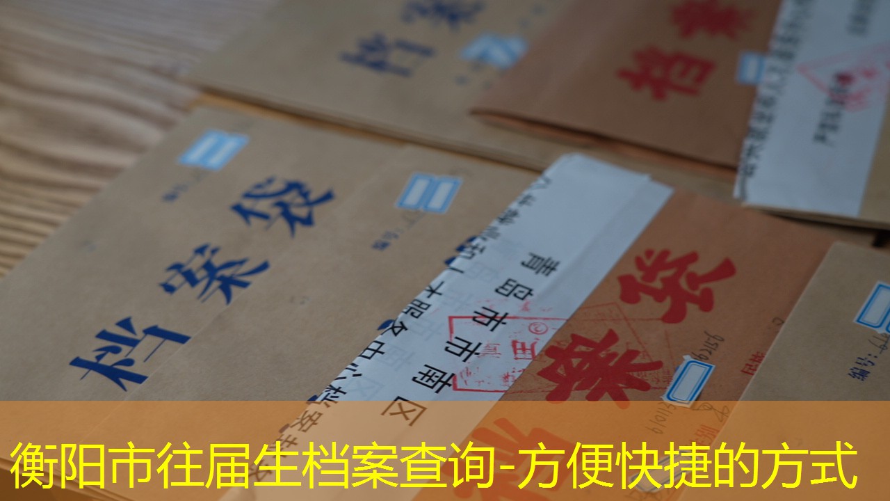 档案查询