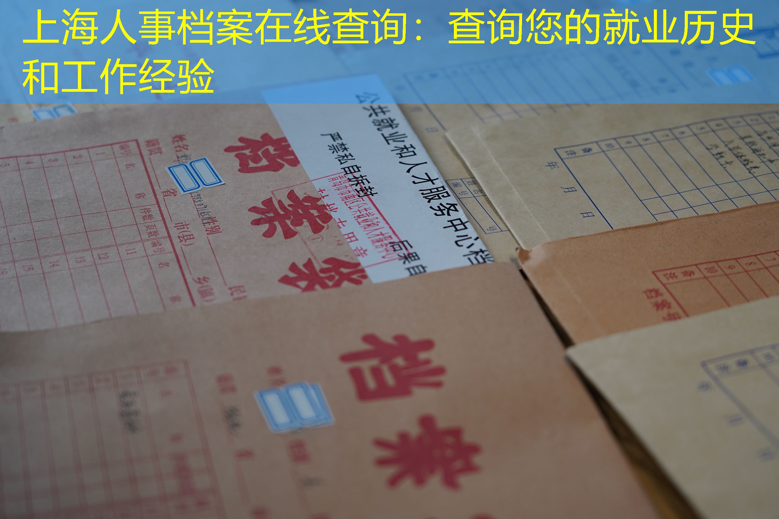 档案查询