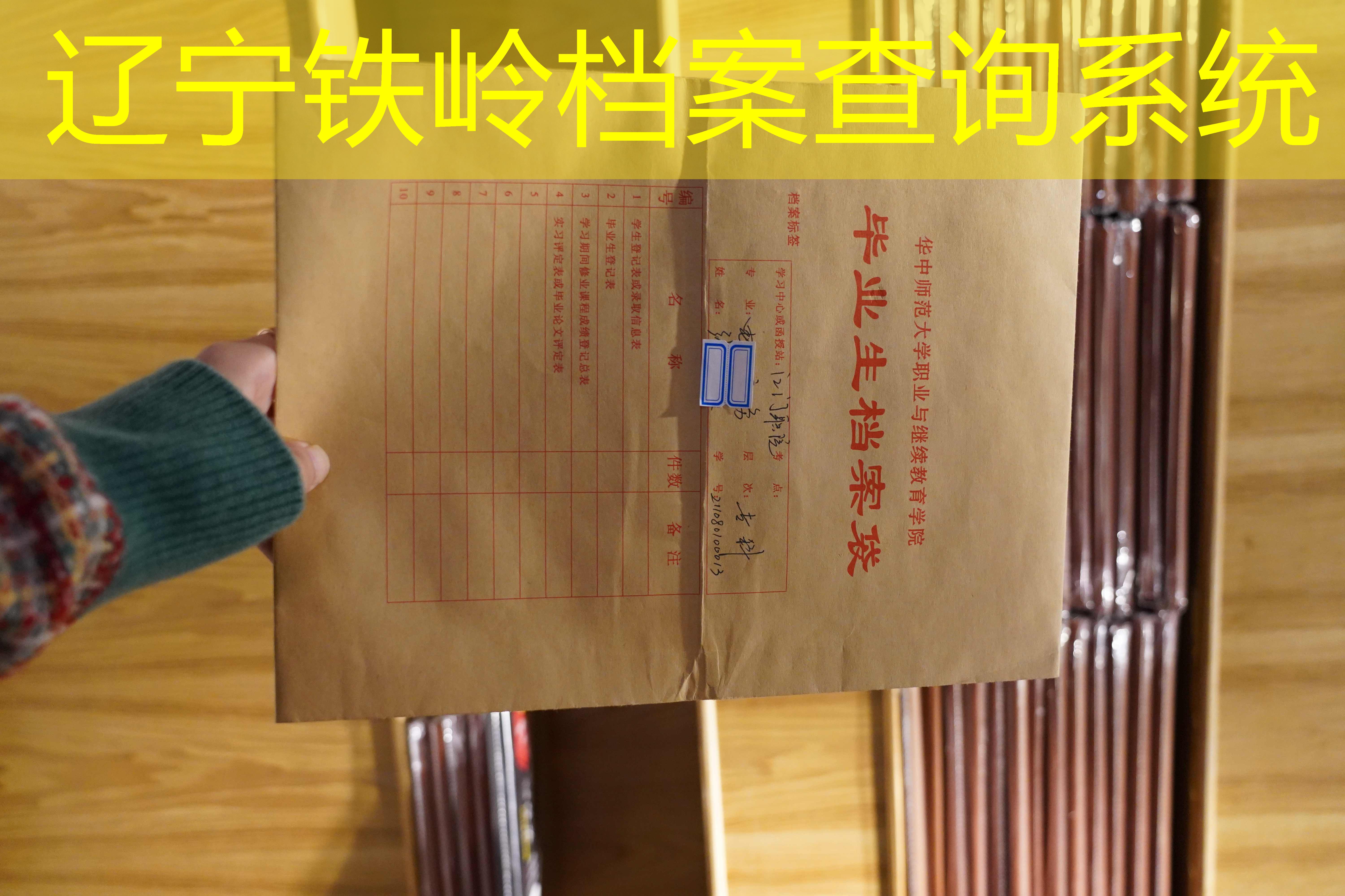 档案查询