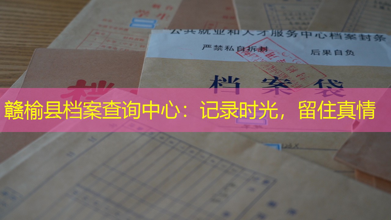 档案查询