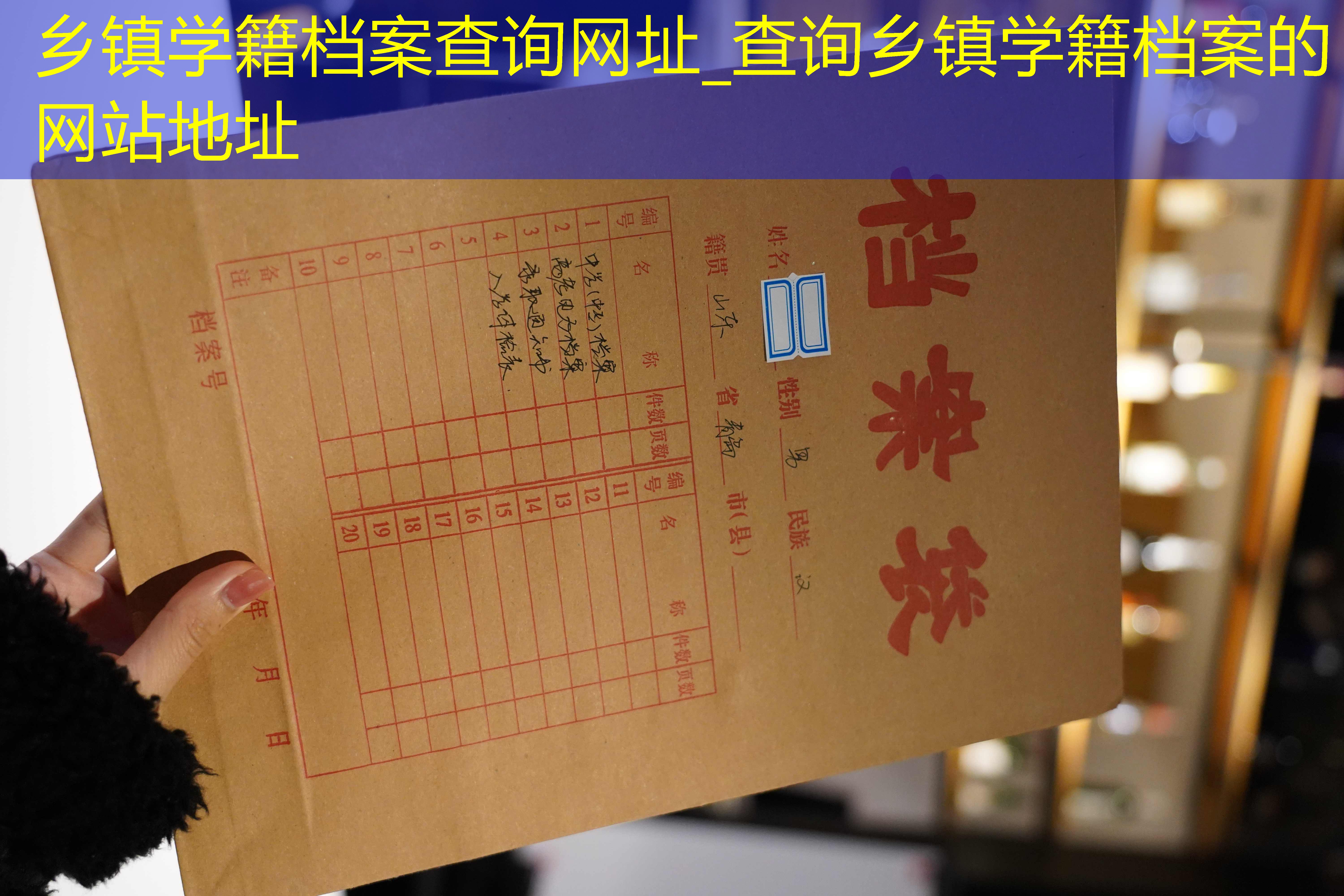 档案查询