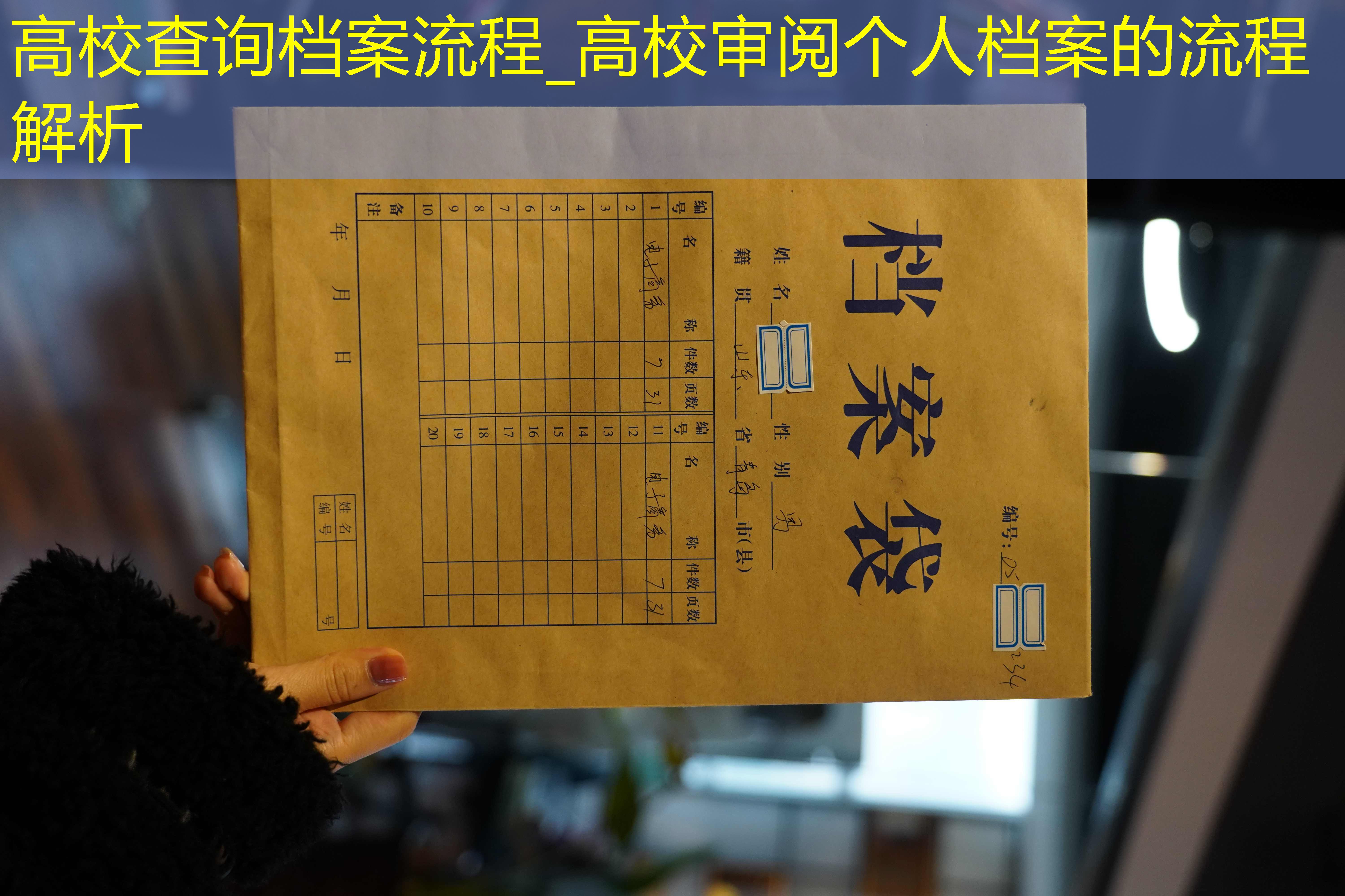 档案查询