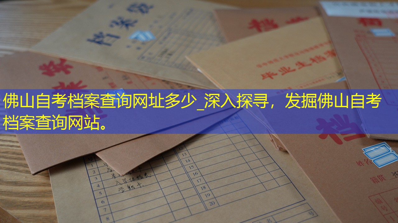 档案查询