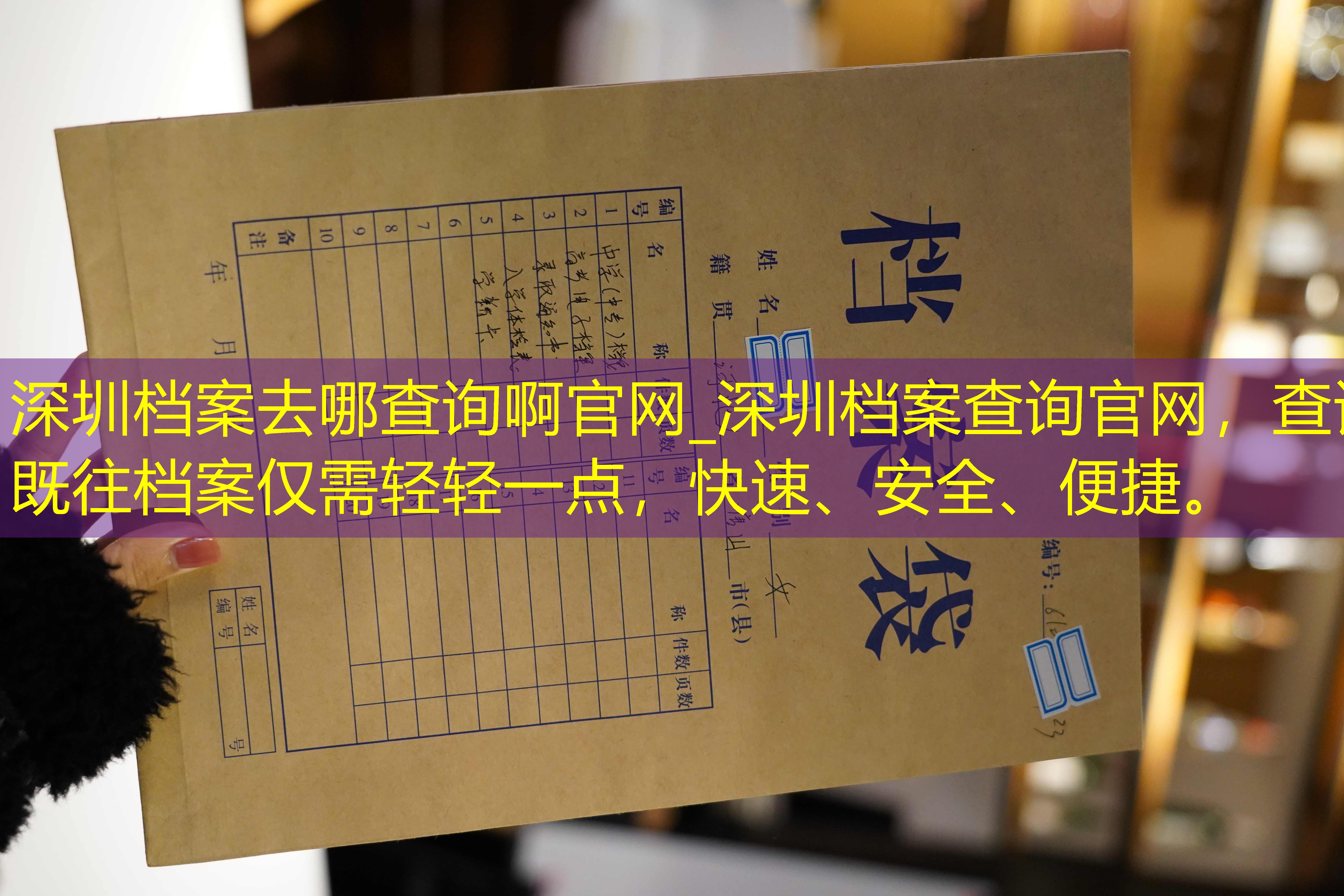 档案查询