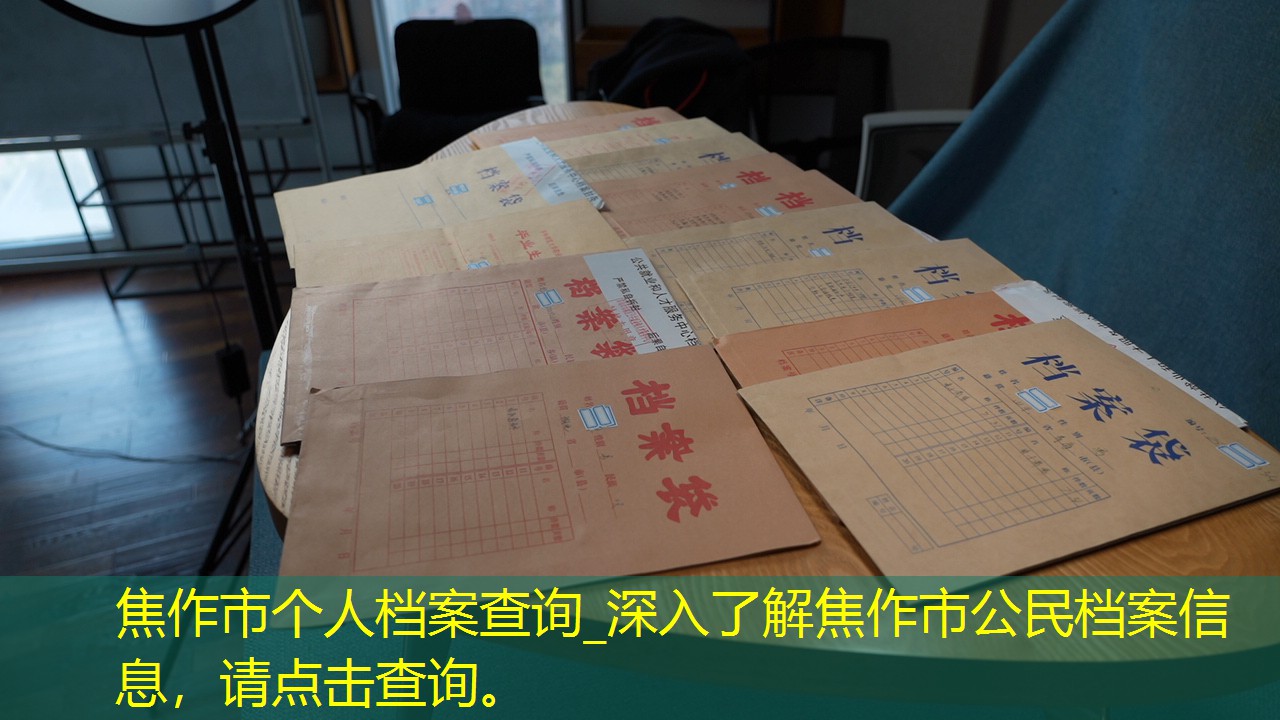 档案查询