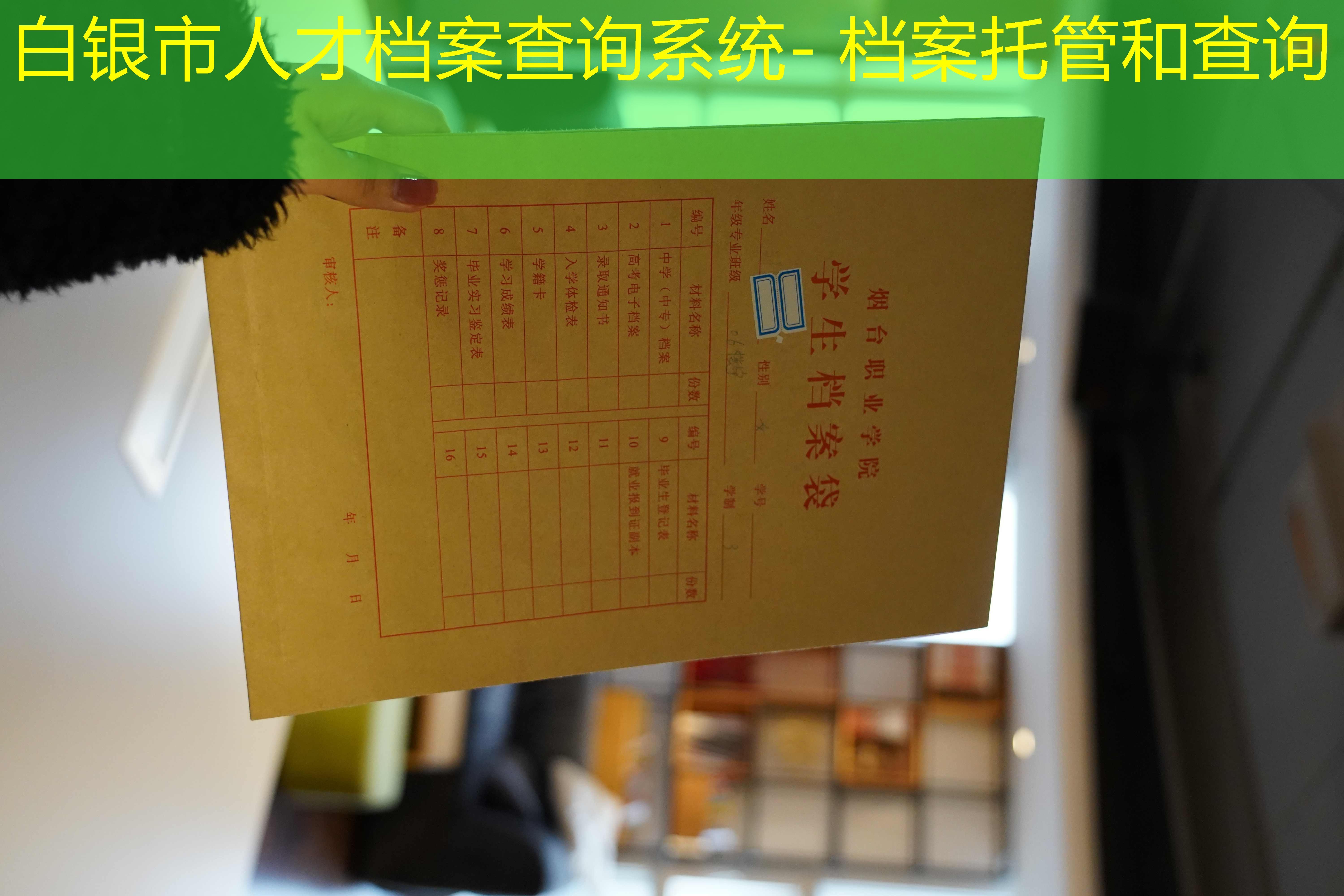 档案查询