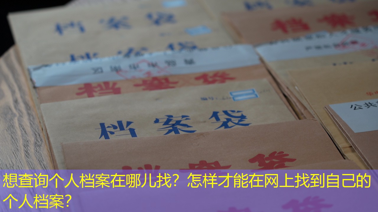 档案查询