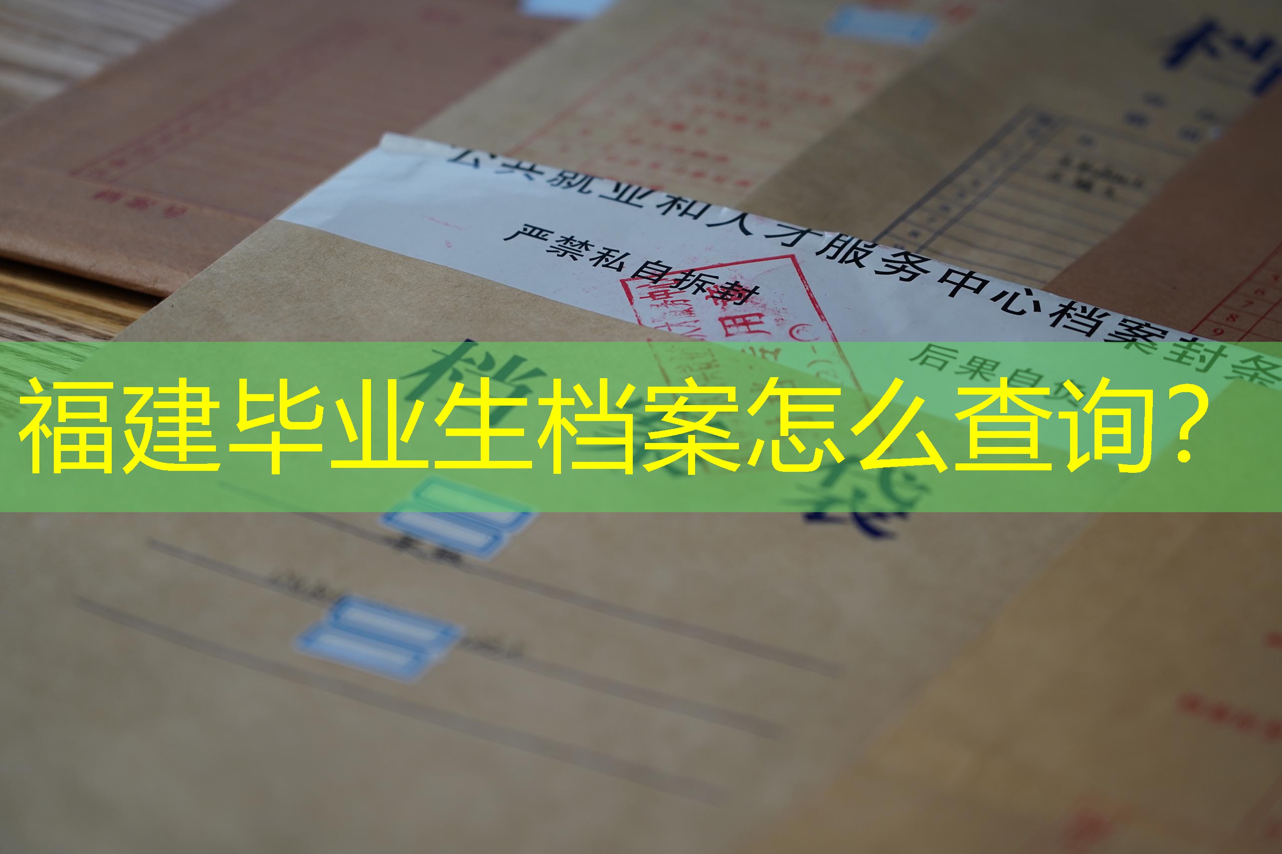档案查询