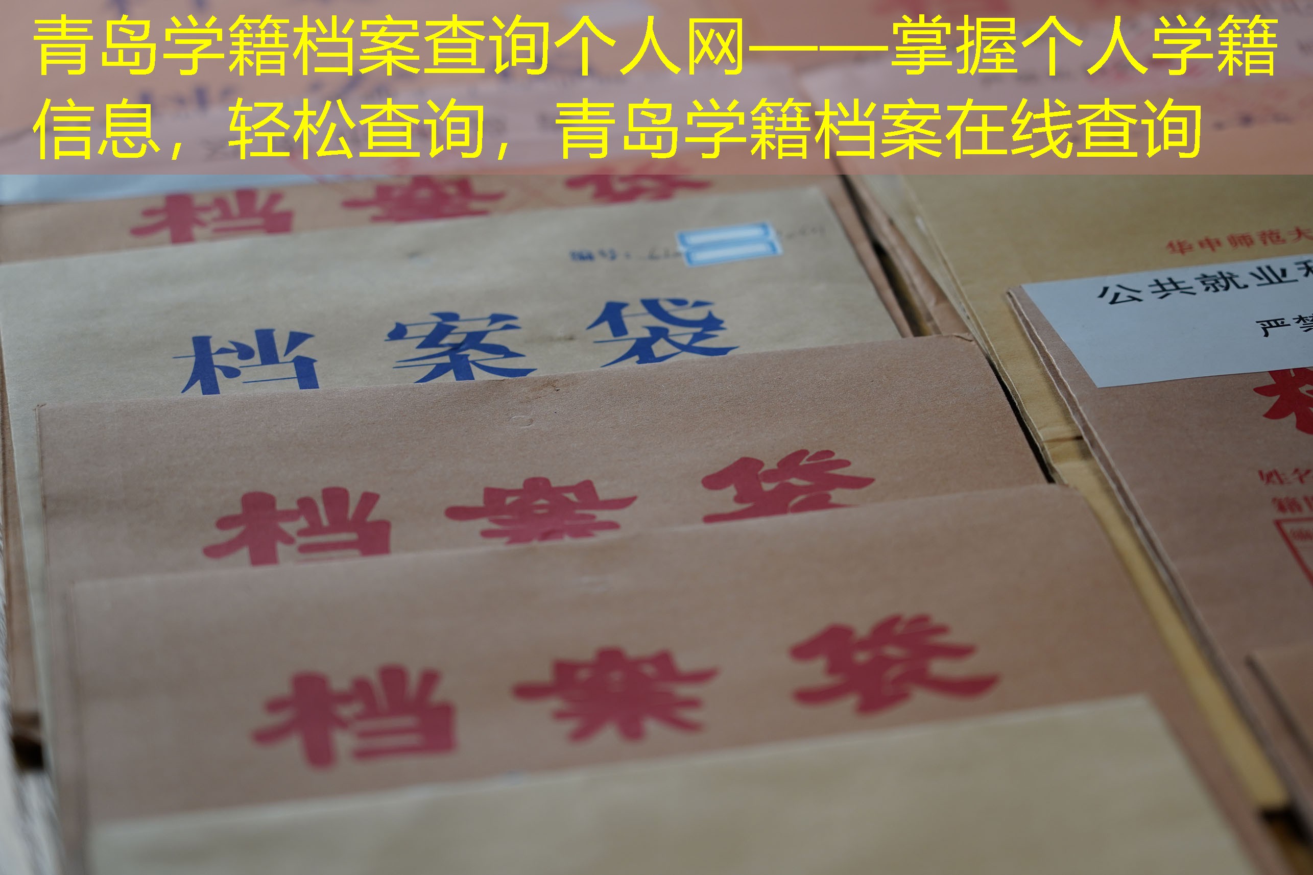档案查询