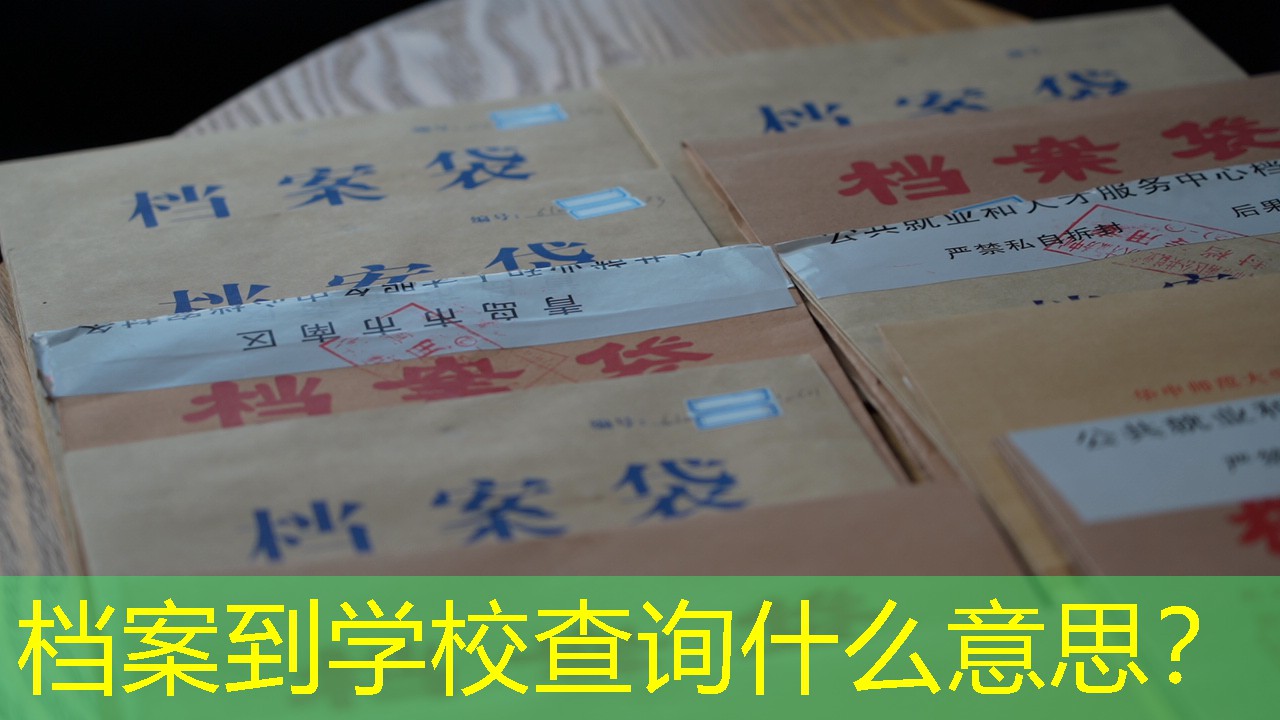 档案查询
